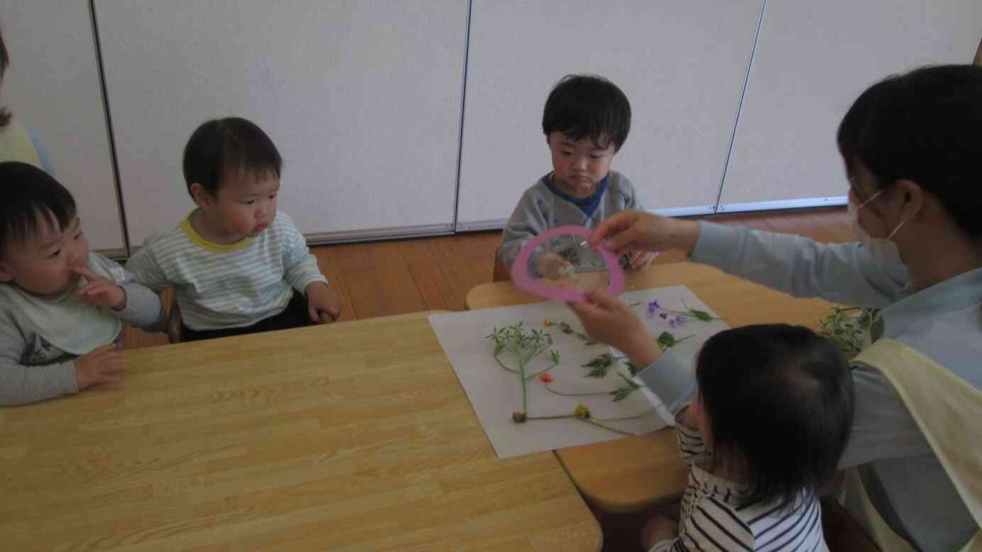 春の野花を探しに行きました②（野花を使って）