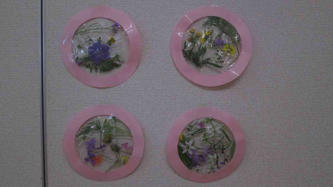 じゃ～ん！お散歩で摘んだ素材がこんなに素敵に変身しました。おうちで飾ってくださいね。