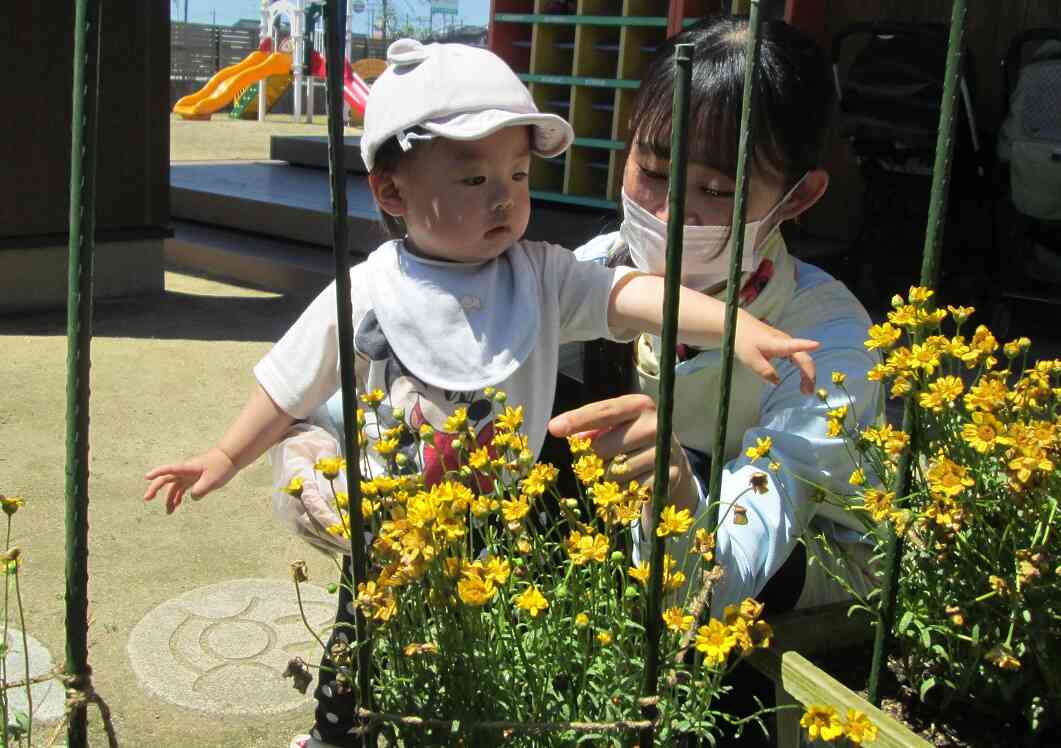 お花がきれいに咲いたね！