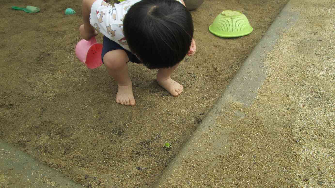 アマガエルが遊びにきてくれたよ！すぐにみつけたKくん