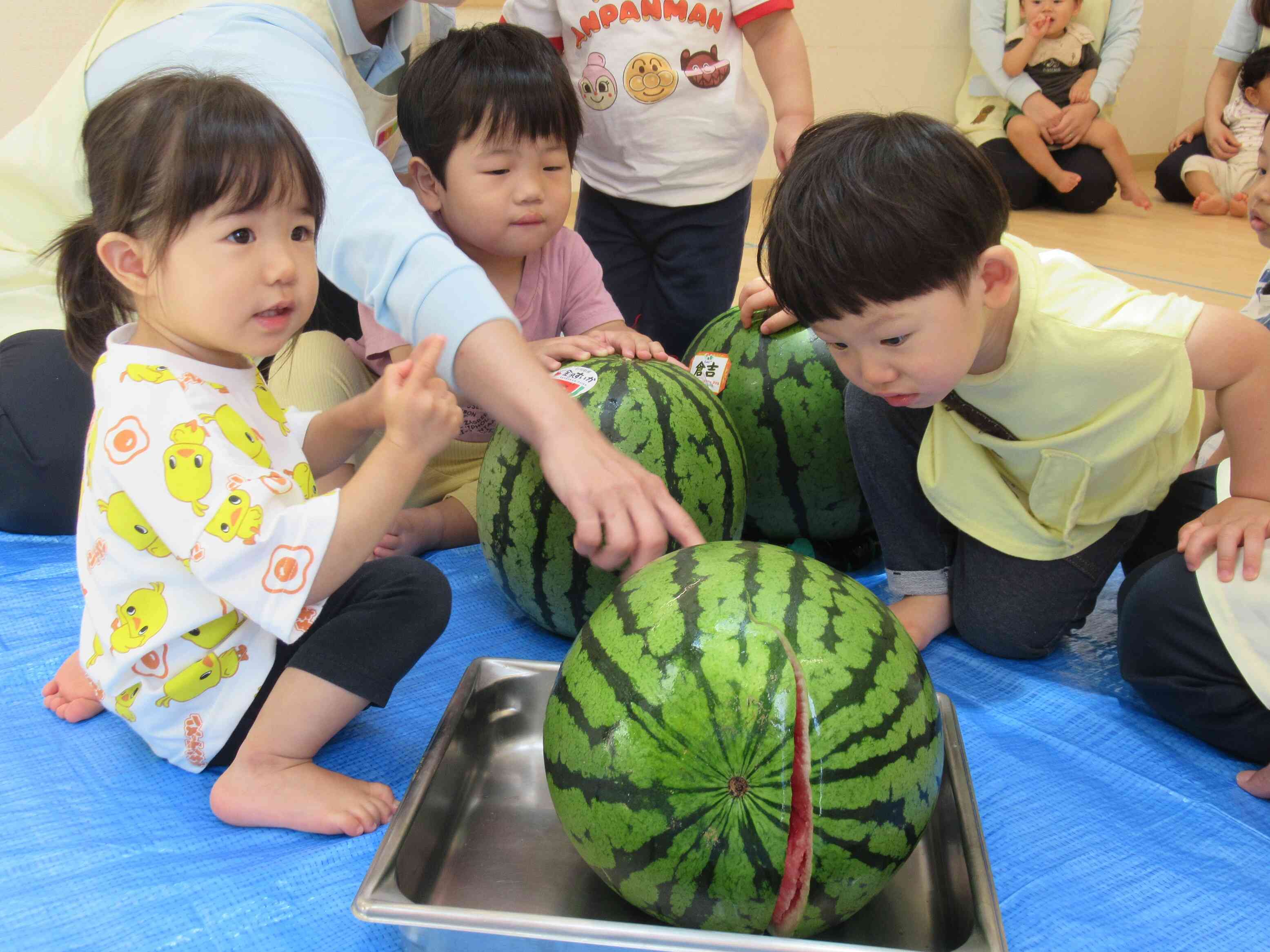 スイカの赤が見える！（あひる組　1歳児）