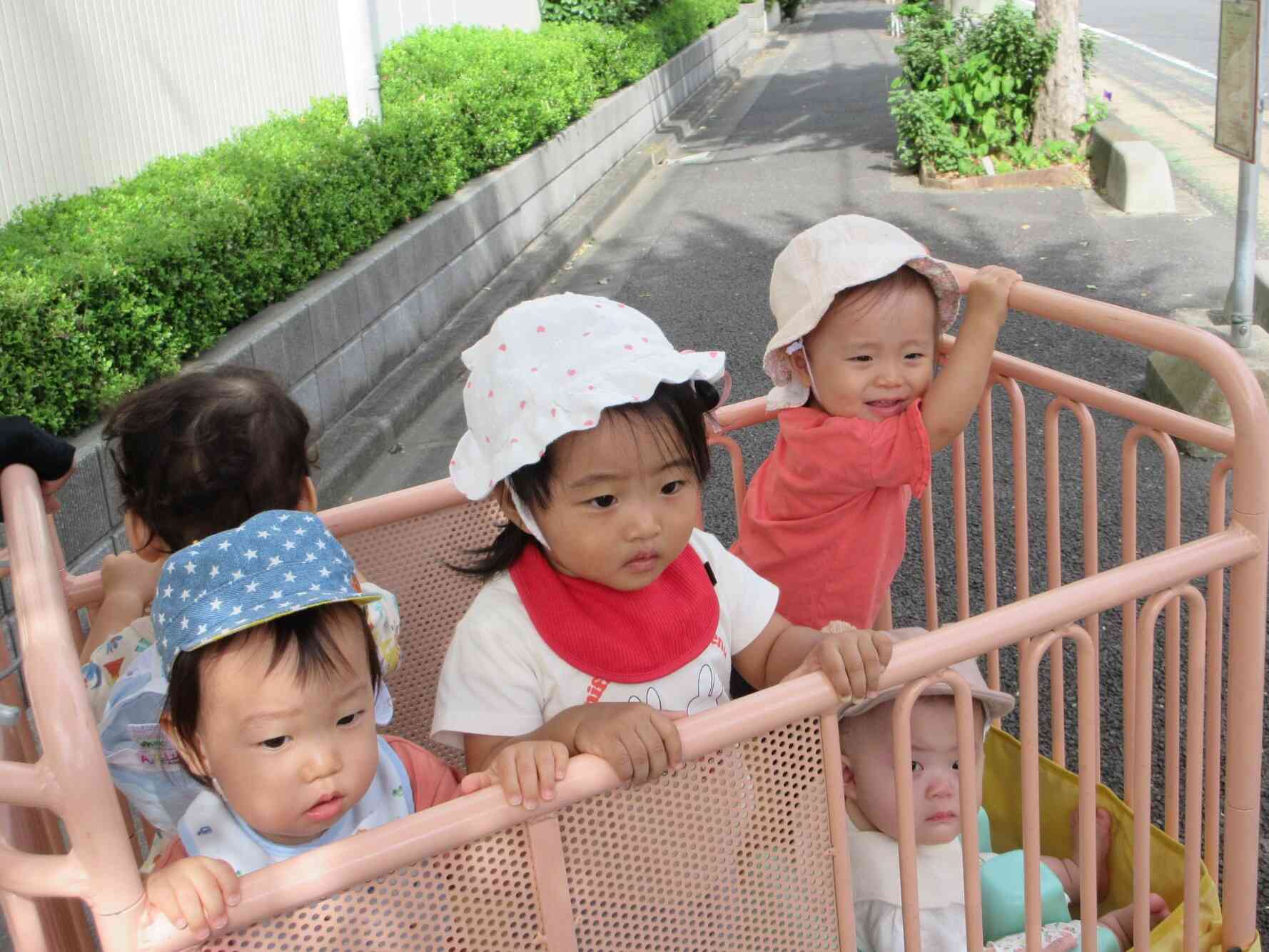 ひよこ組の日常