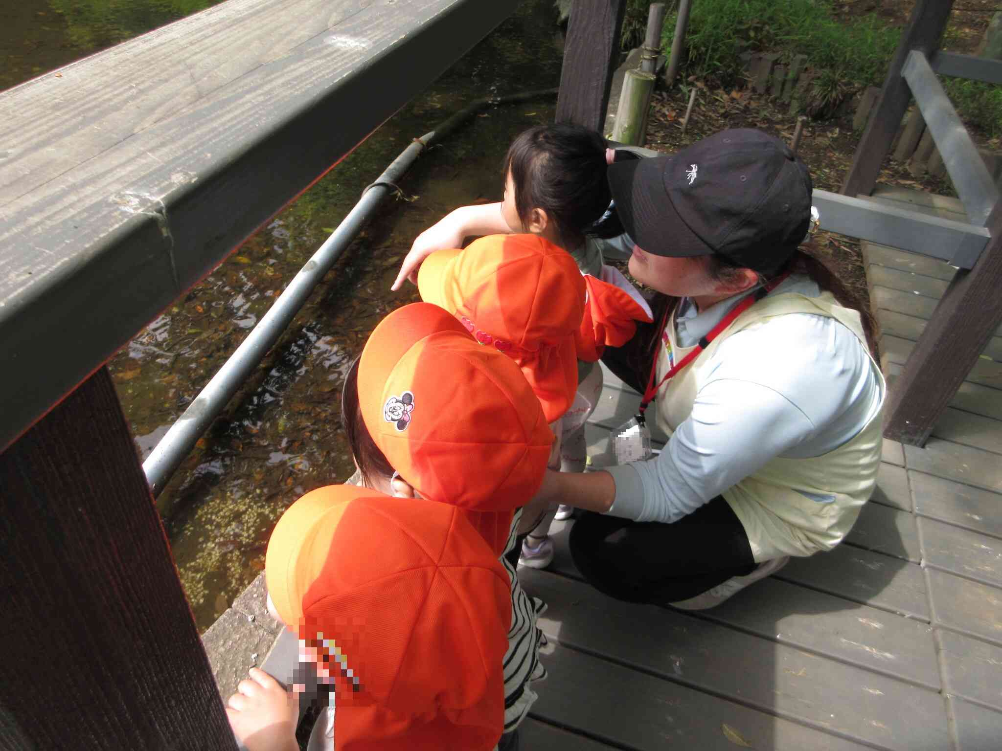 おさかなさん、いるかな…