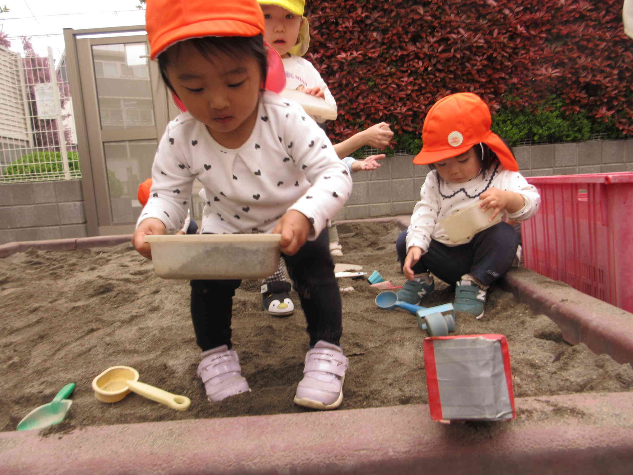 真剣な表情で遊んでいます♡