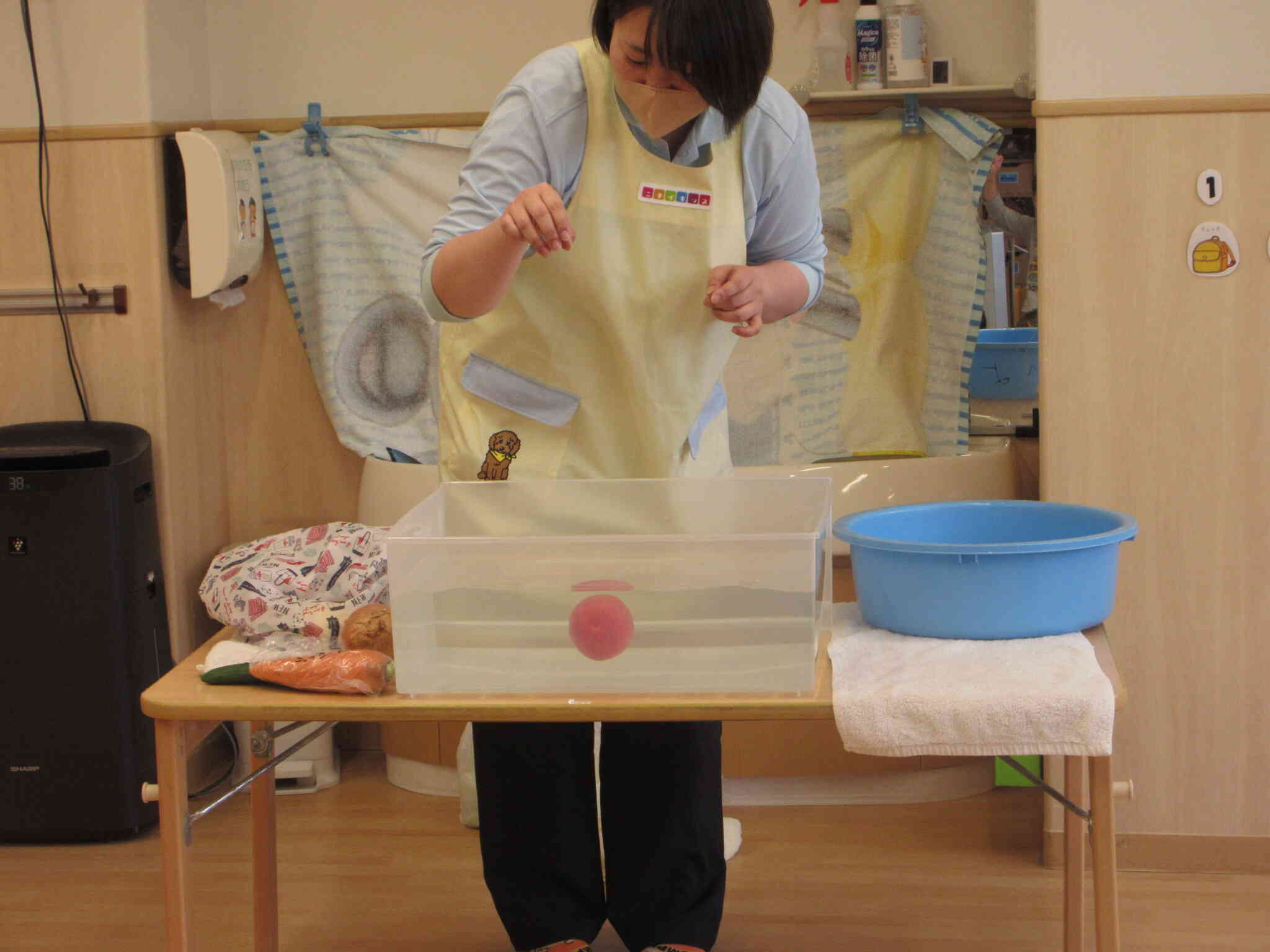 科学あそび★この野菜、浮く？しずむ？
