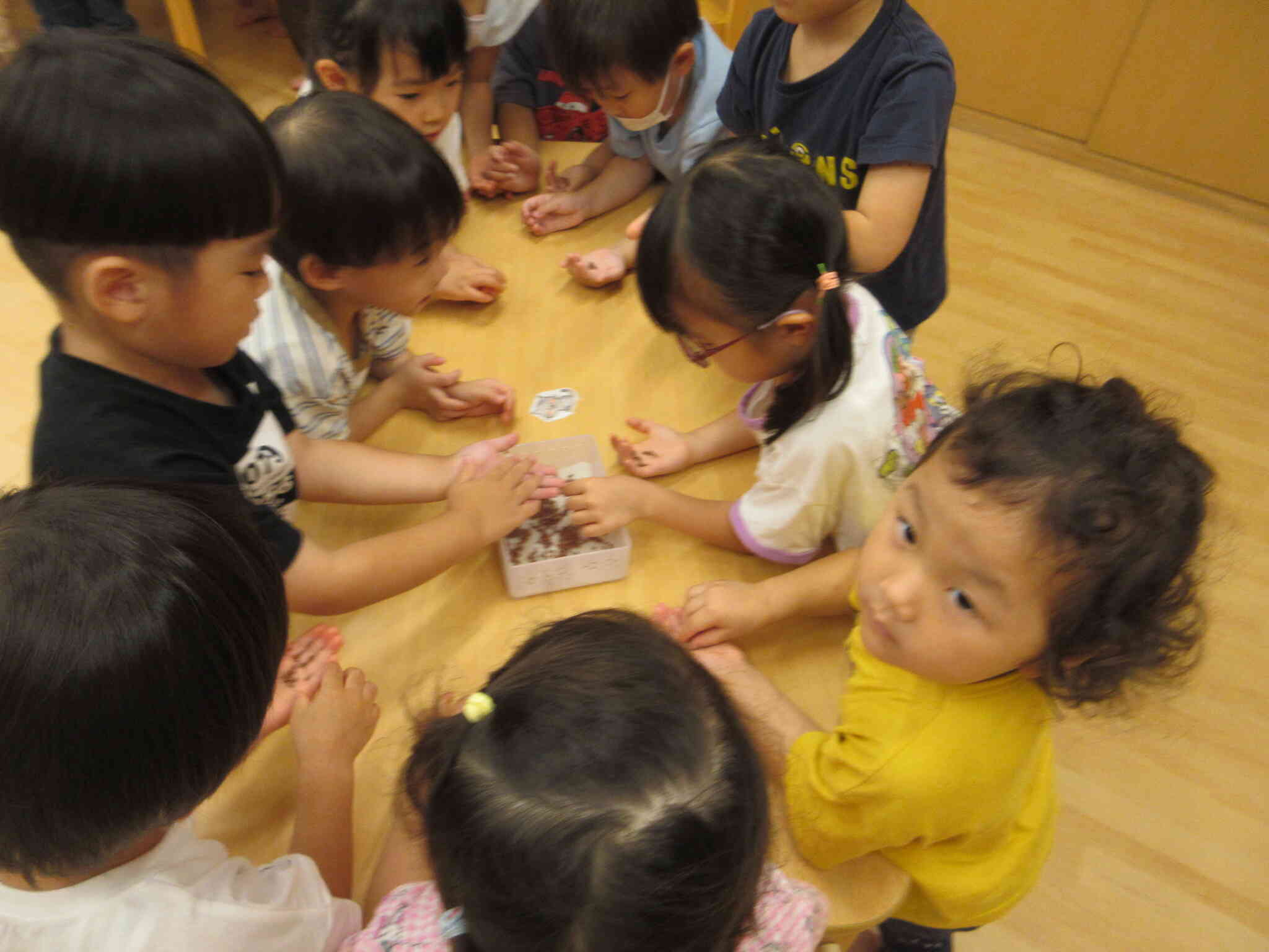 種まきをしてみよう！