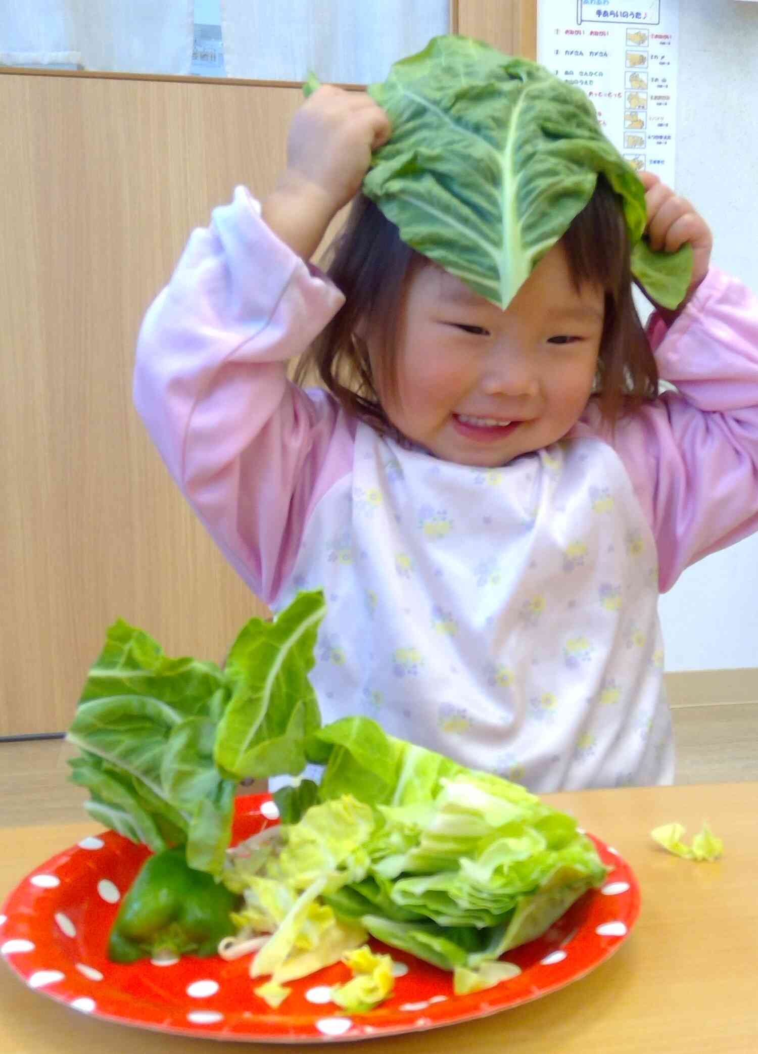 野菜に触れてみよう!