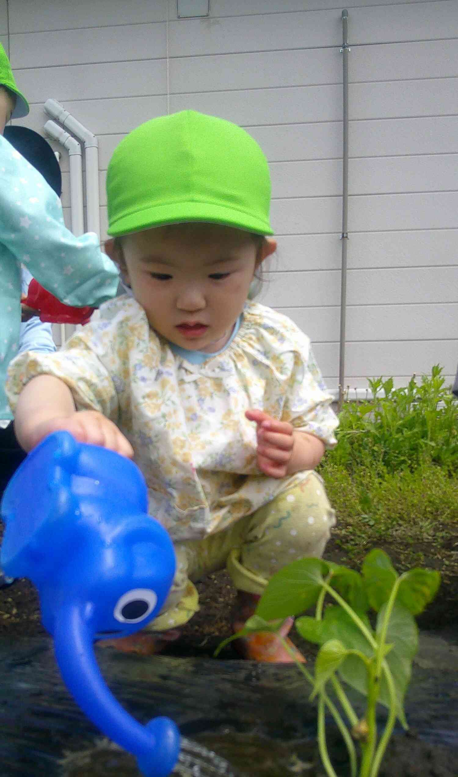 野菜の苗を植えよう!