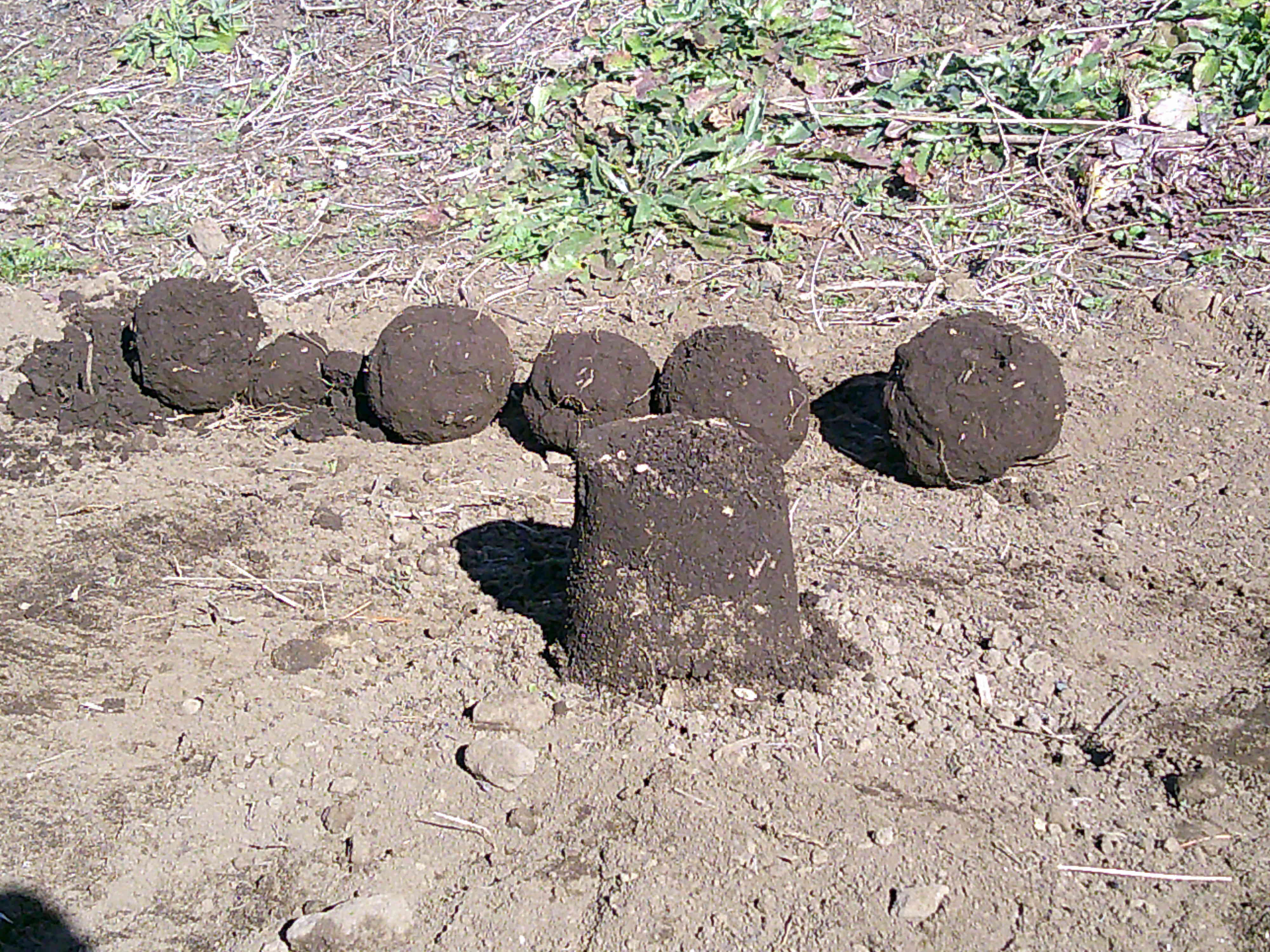 土の感触を味わいながら、みんな真剣です⭐︎