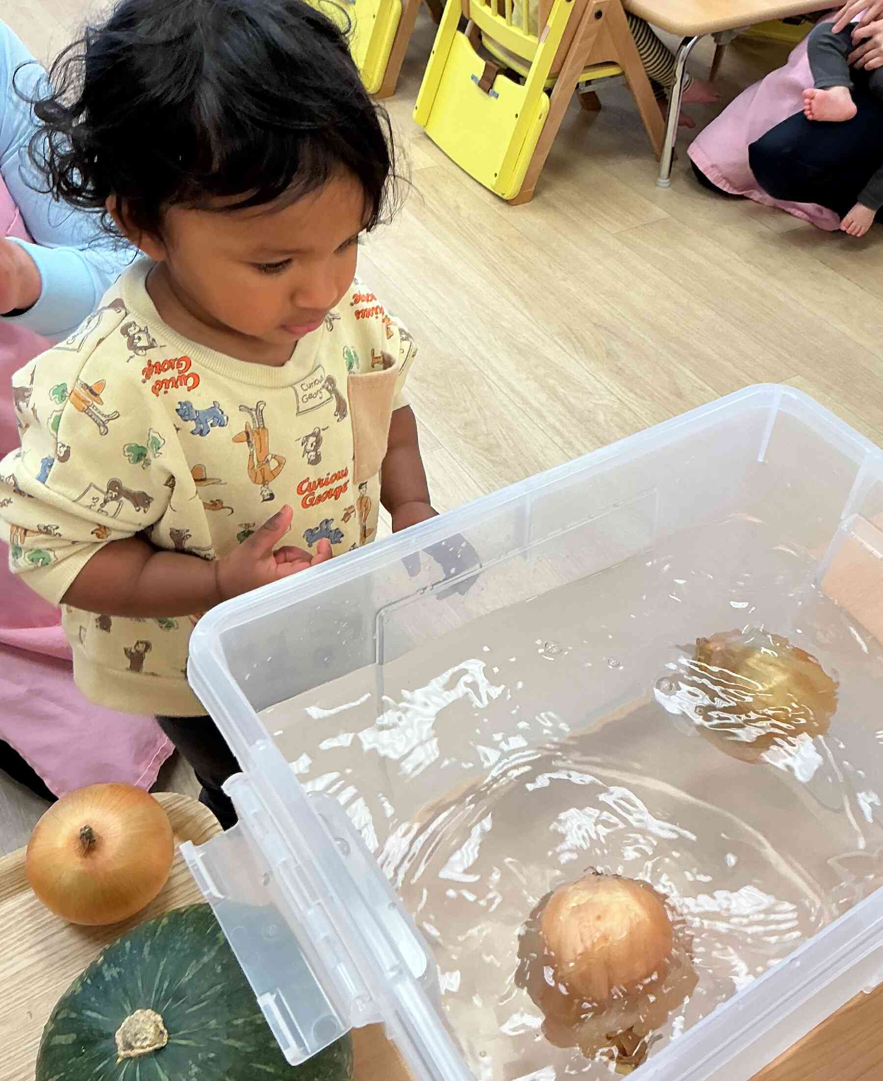 水槽に入れてみよう