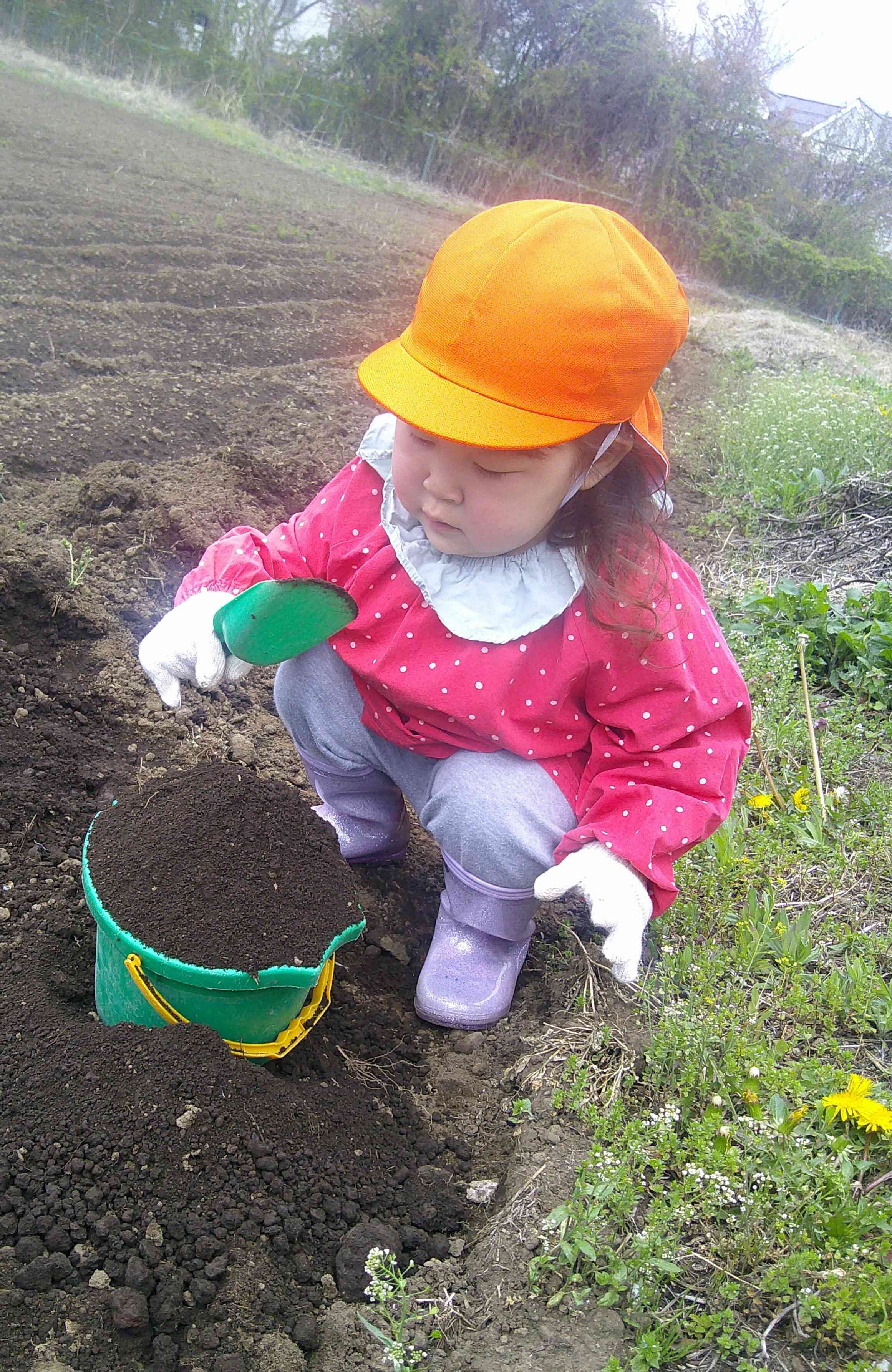 ごはん　作ってるよ。