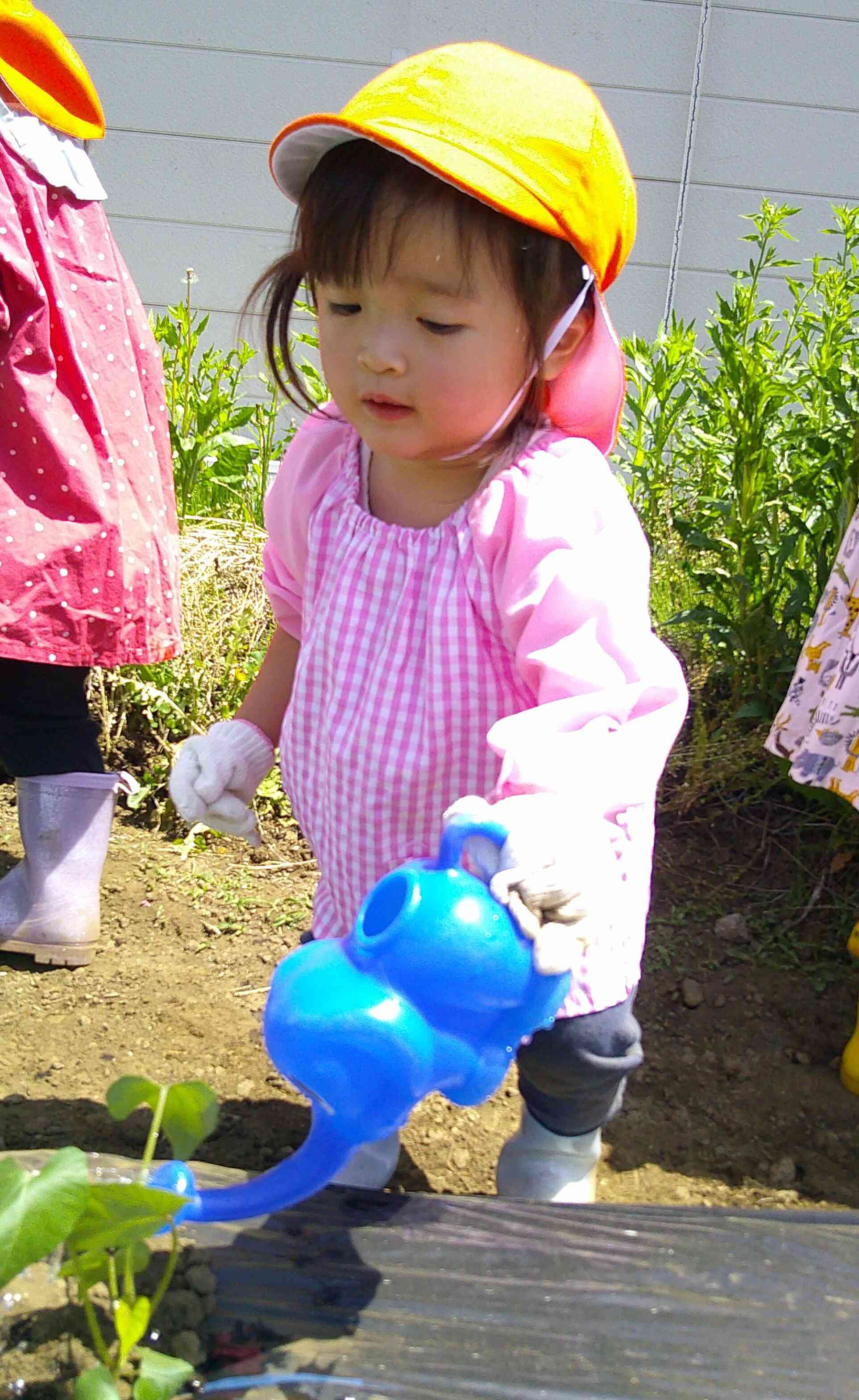 大きくなあれ。