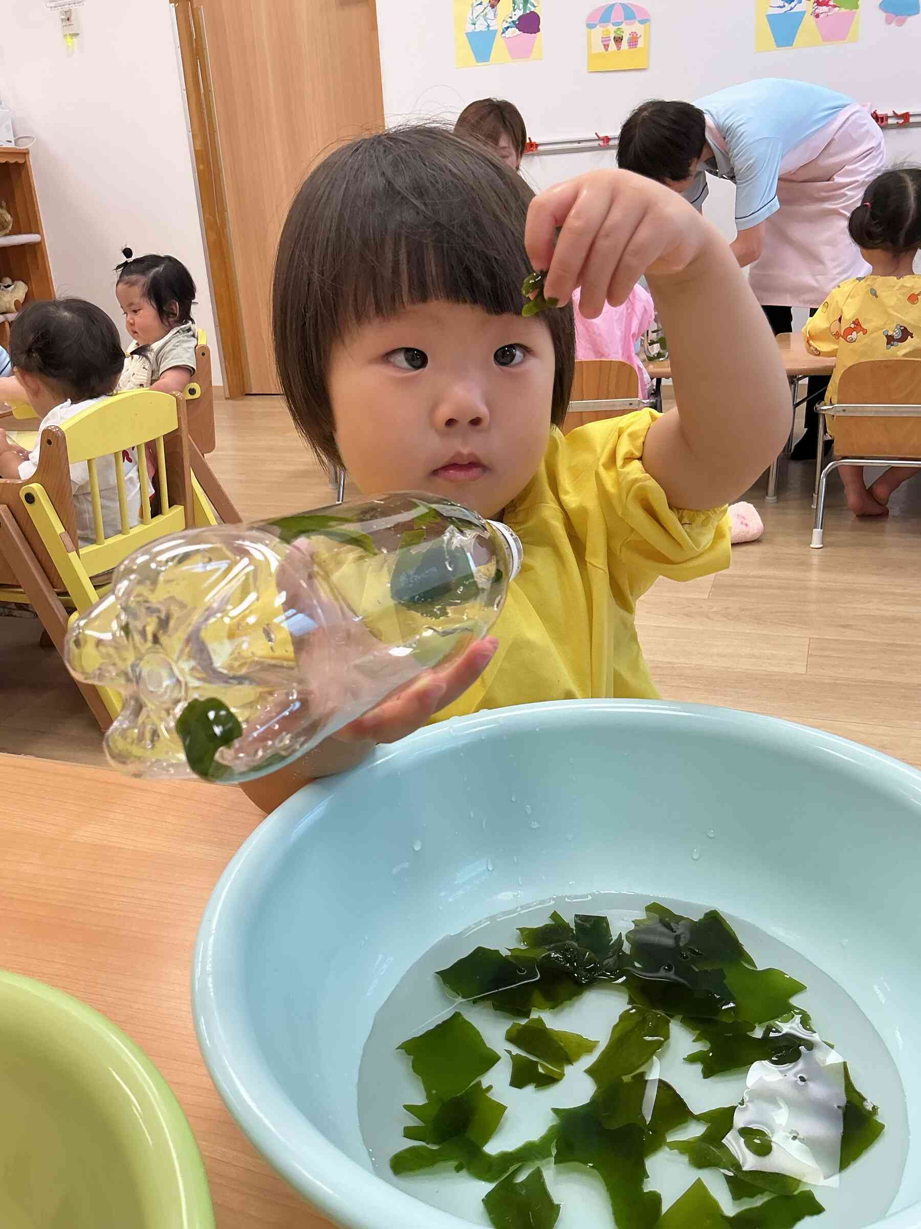海藻、乾物に触れよう