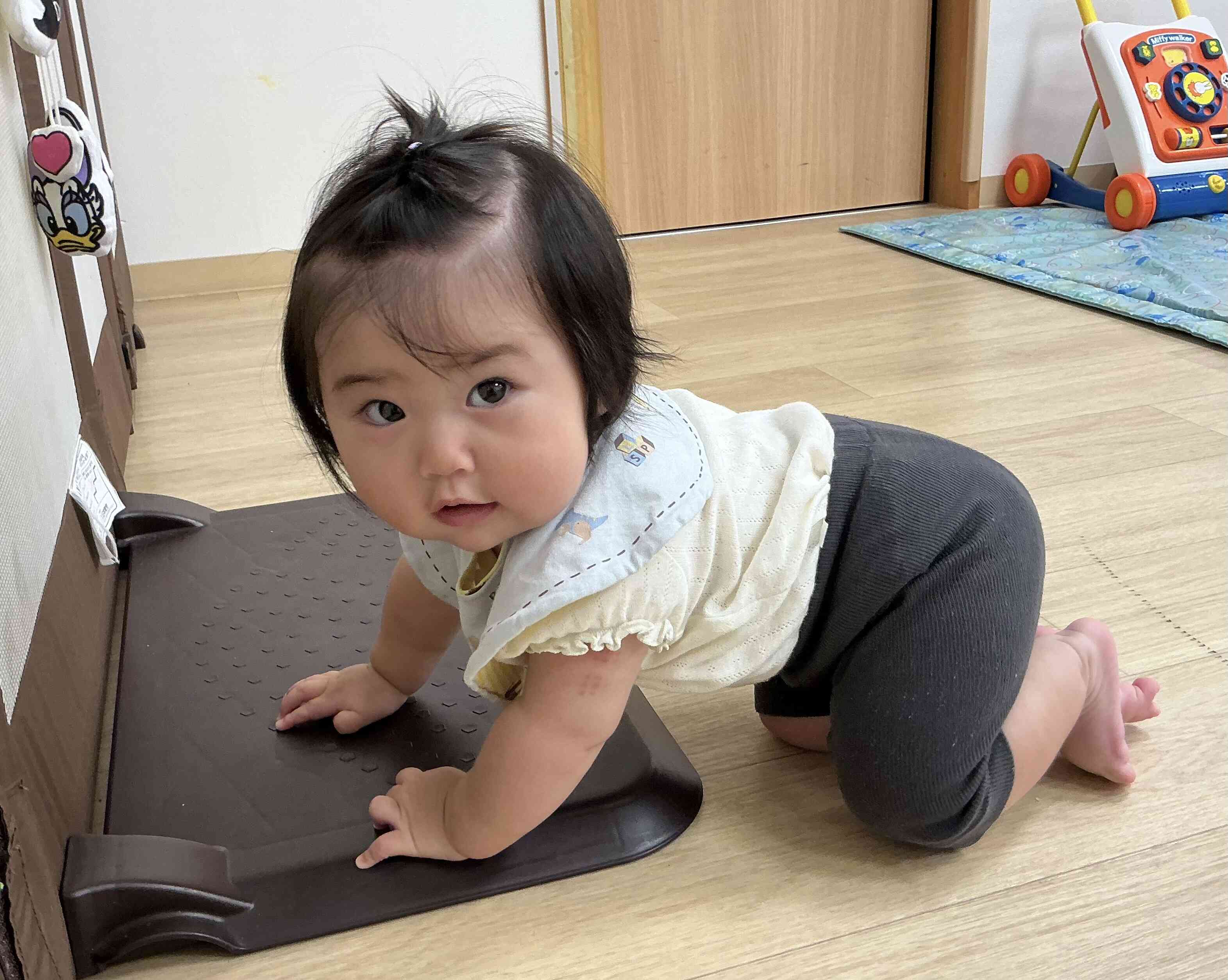 ひよこ組(0歳児)7月の様子