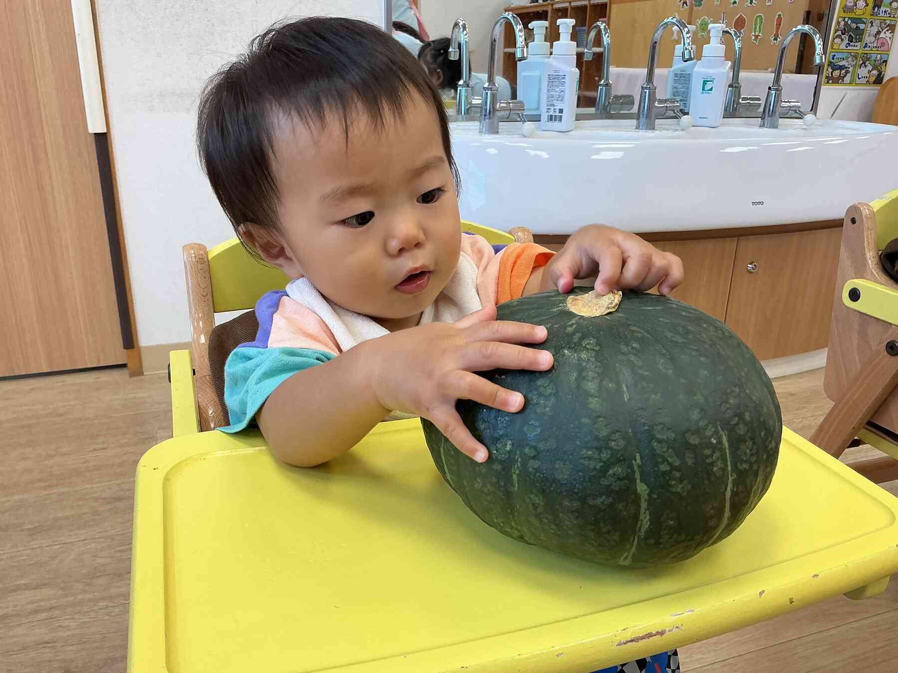 １０月　食育　「かぼちゃに触れよう」