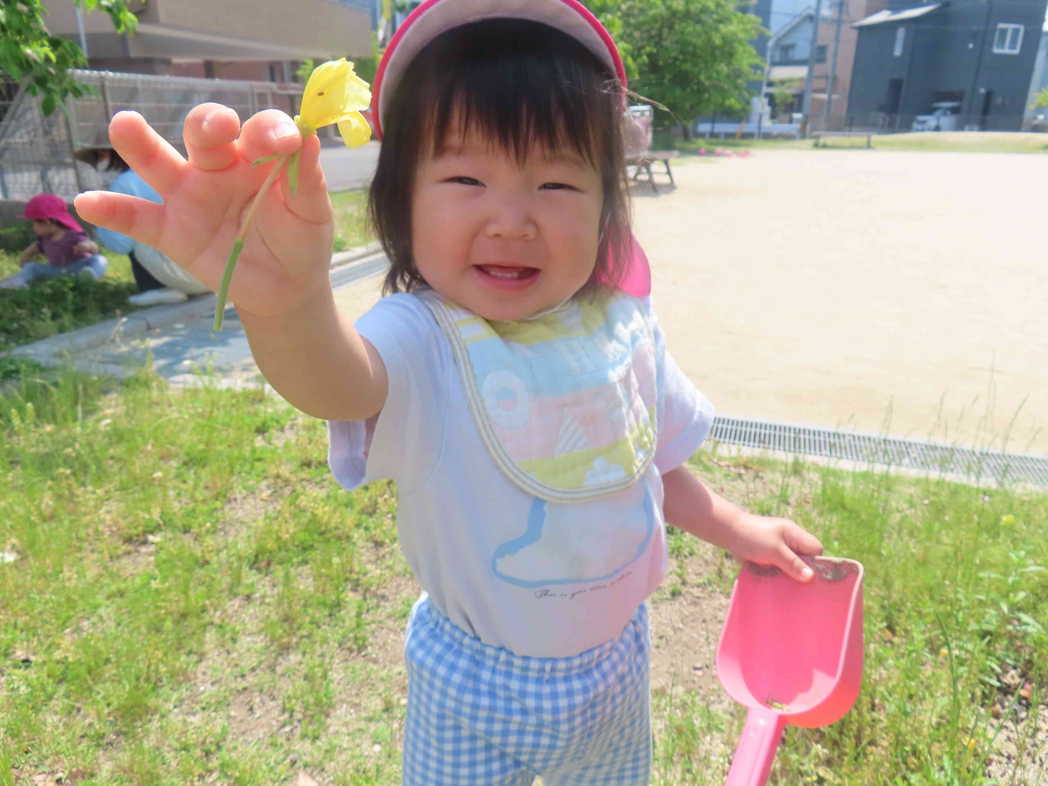 黄色のお花があったよ！！