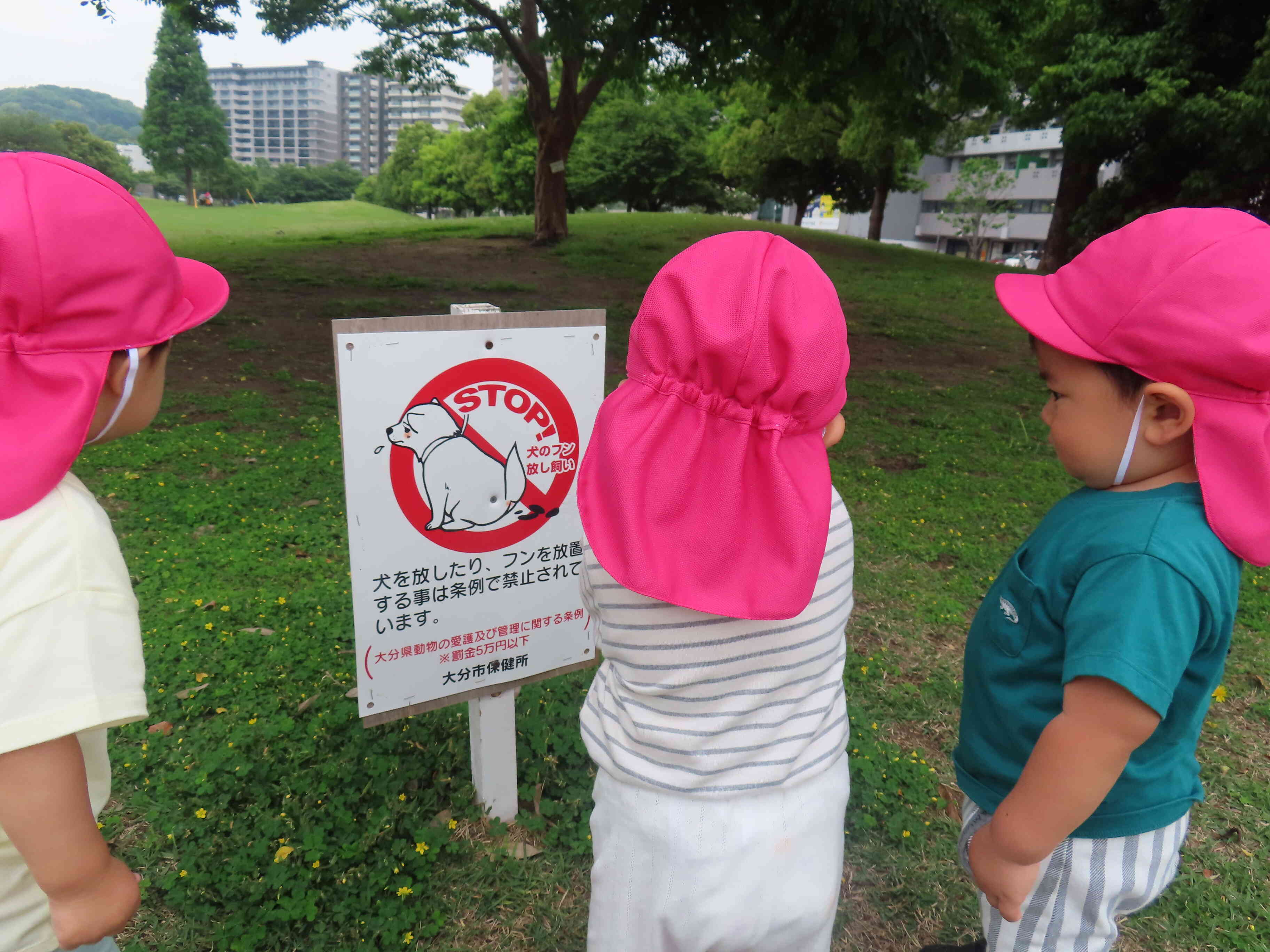 何て書いているのかな？？不思議そうに看板を見つめていました(笑)