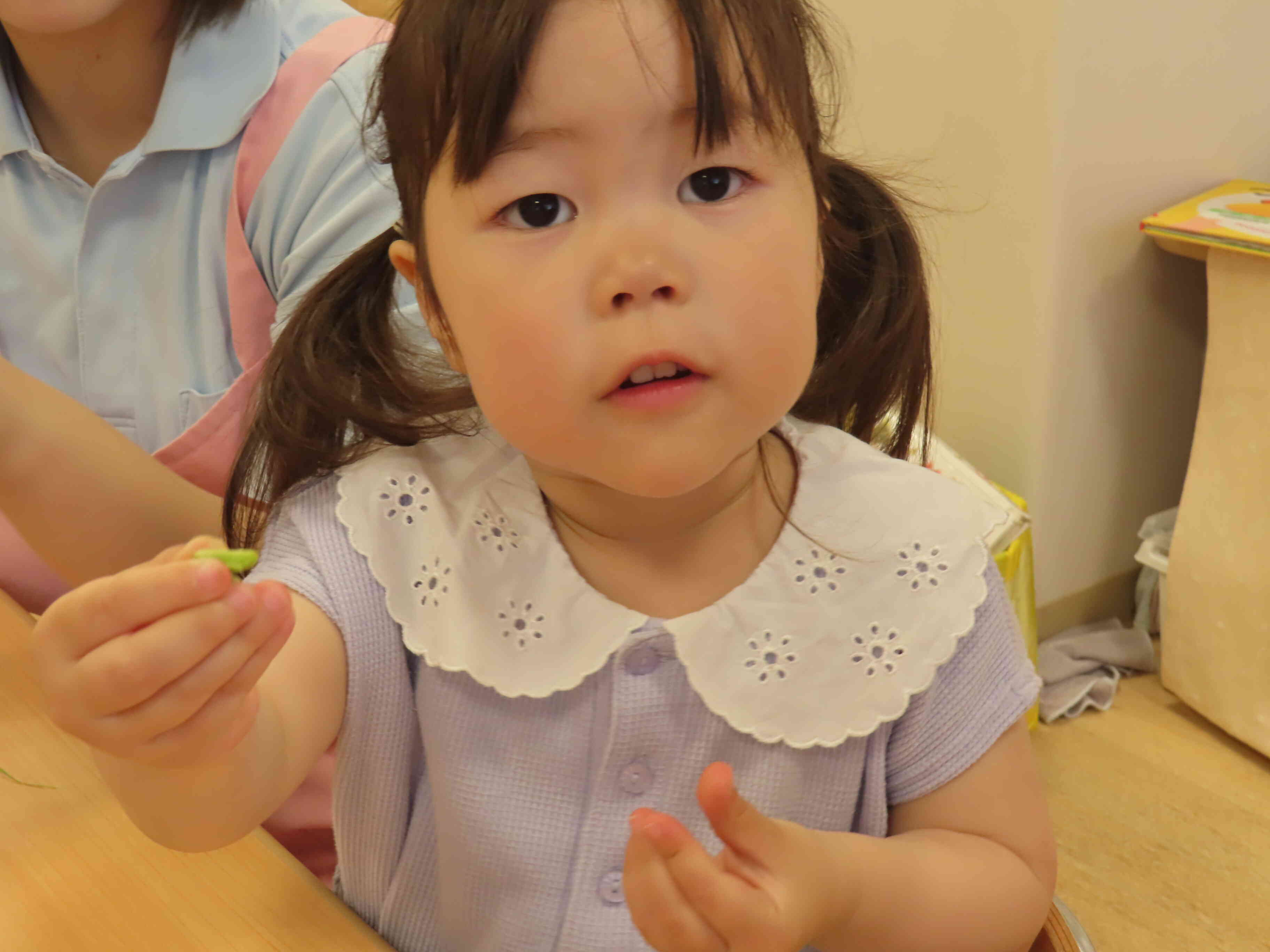 赤ちゃんの豆もあったよ！