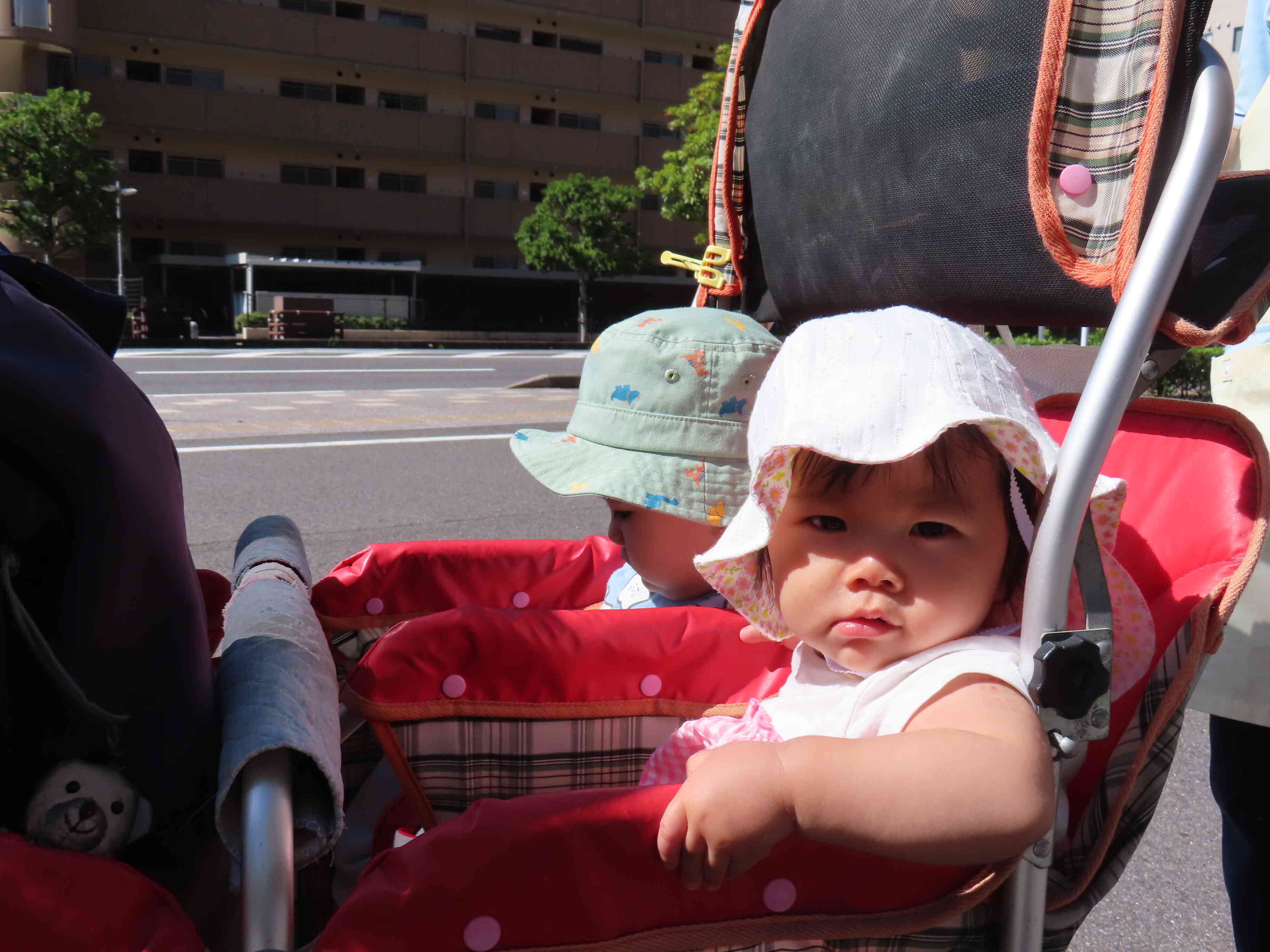 お散歩バギーにも乗れたよ♪