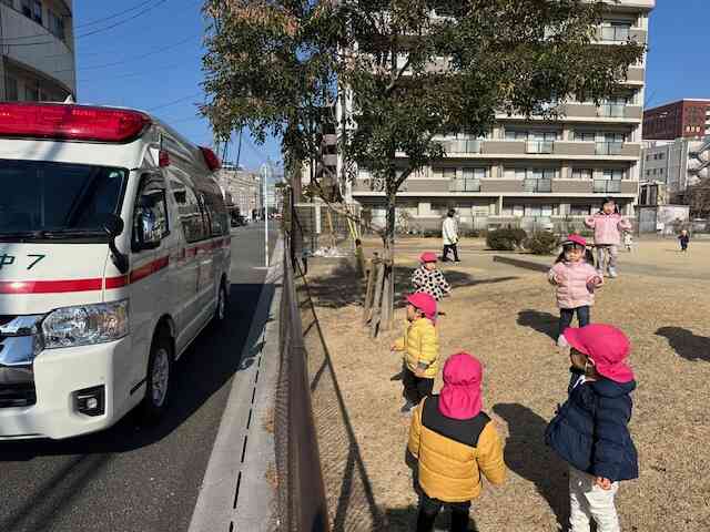 戸外活動中のベストショット