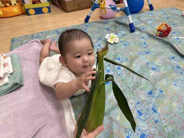 6月の食育活動（ひよこ組）