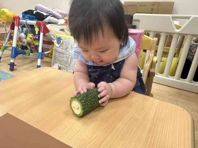 食育活動（野菜スタンプ）ひよこ組