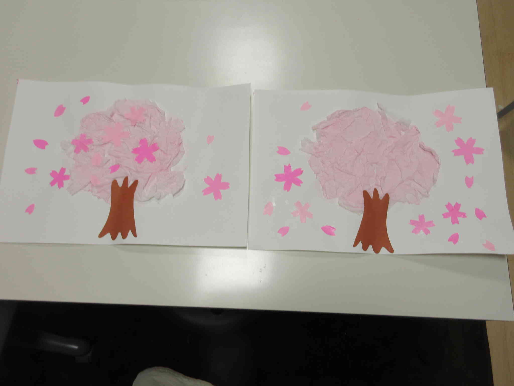 今度は家族でお花見が出来たらいいな♡