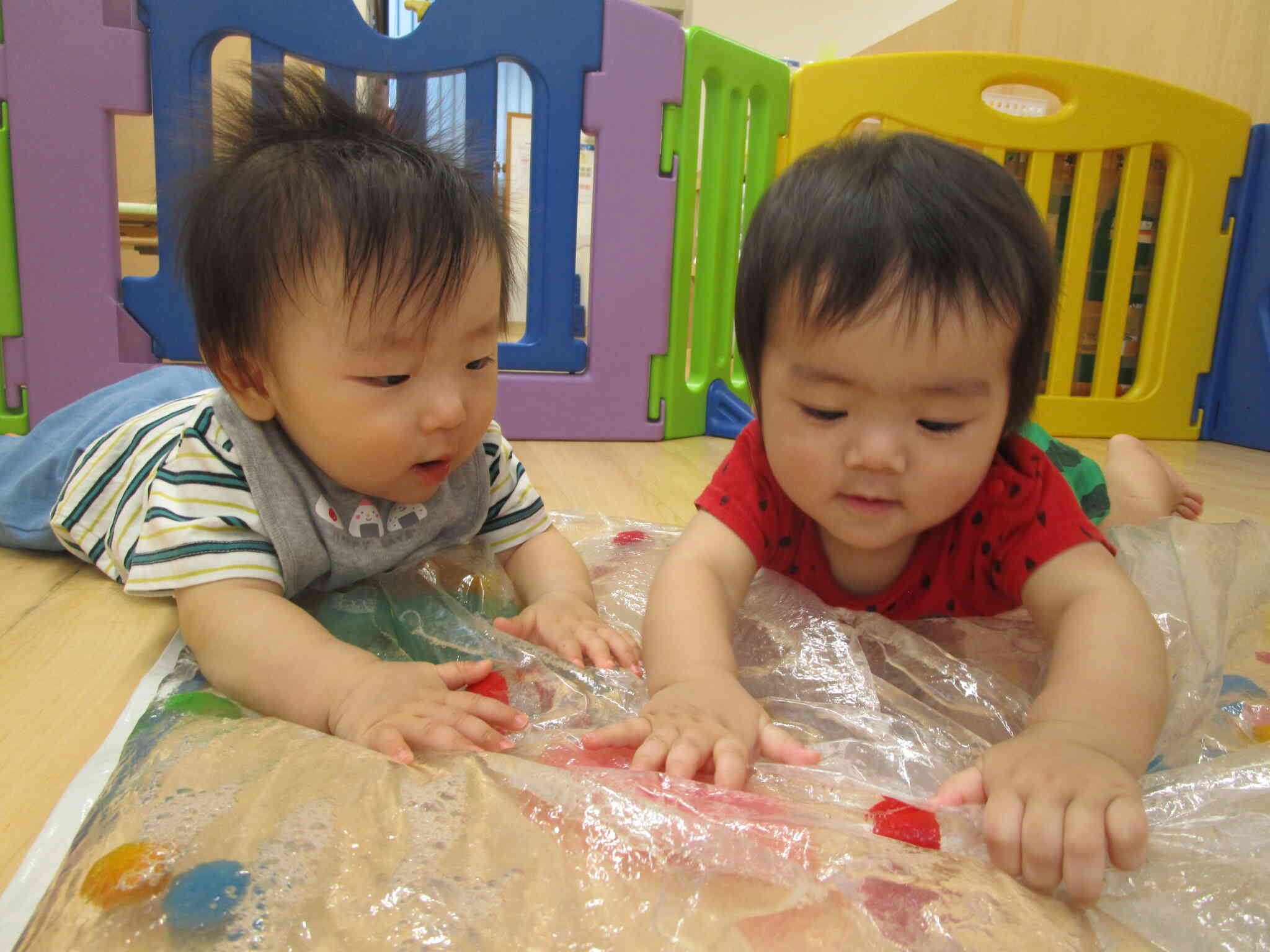 新しいお友だち（０歳児）