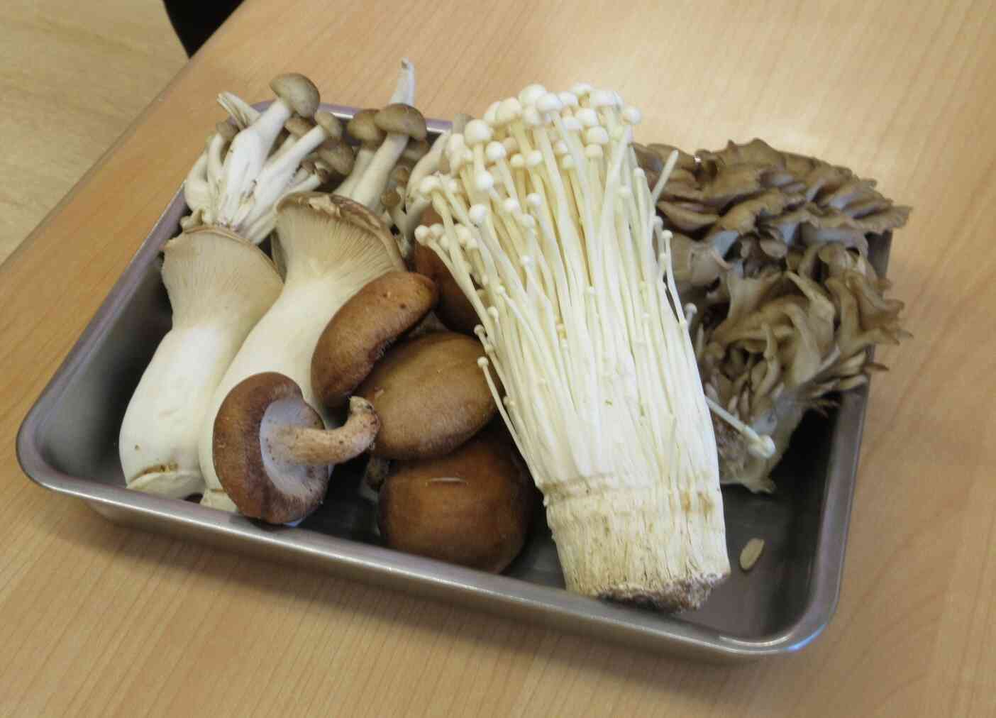 色々な種類の『きのこ』を触ってみました♪