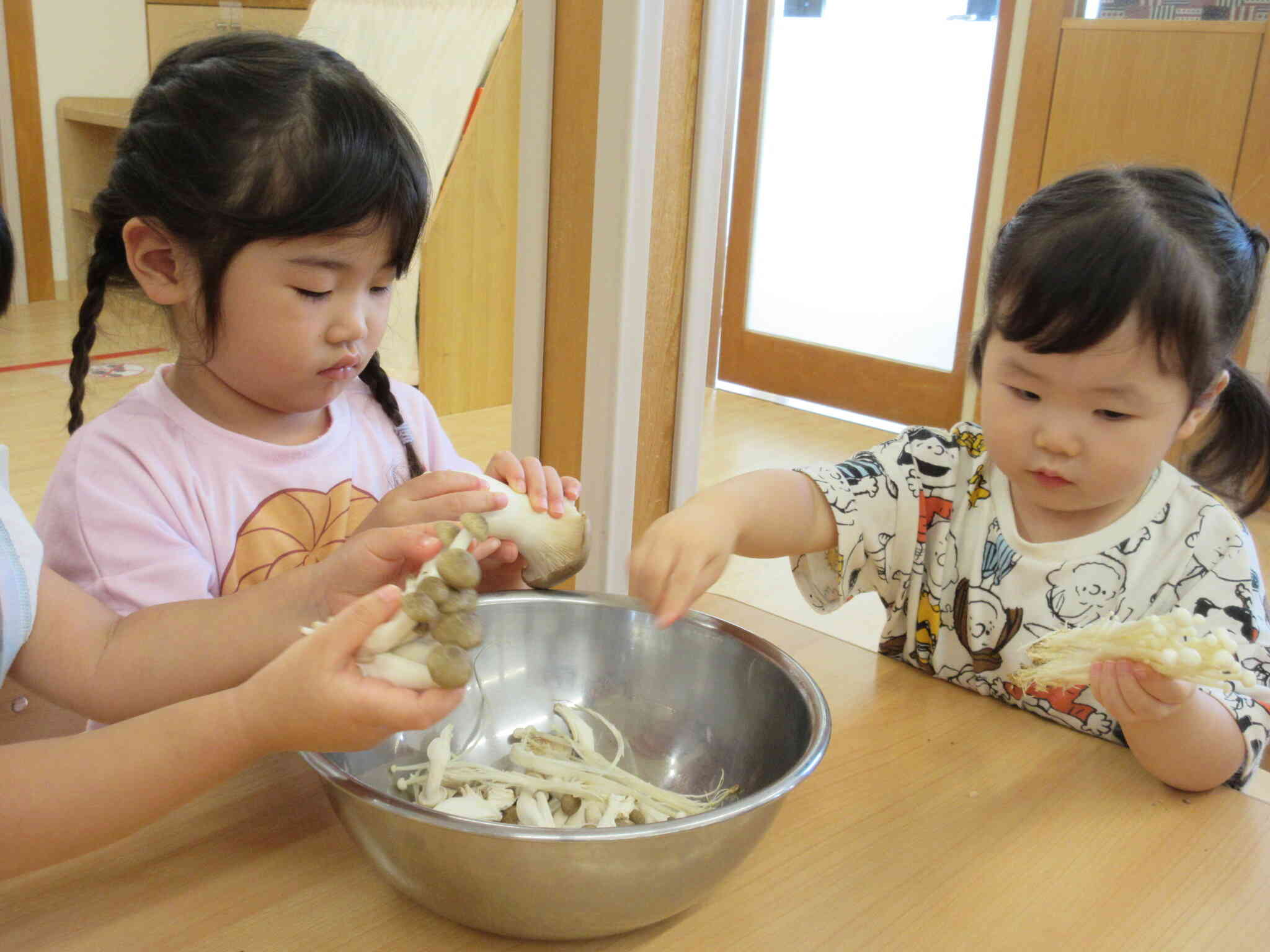 たくさんのきのこを触ってみました！