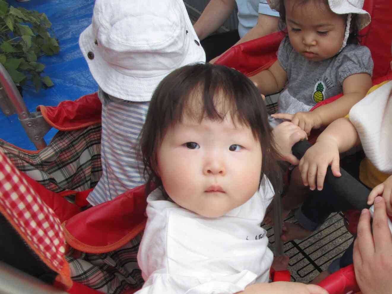 芋ほりの見学♪バギーにも初めて乗ったよ！