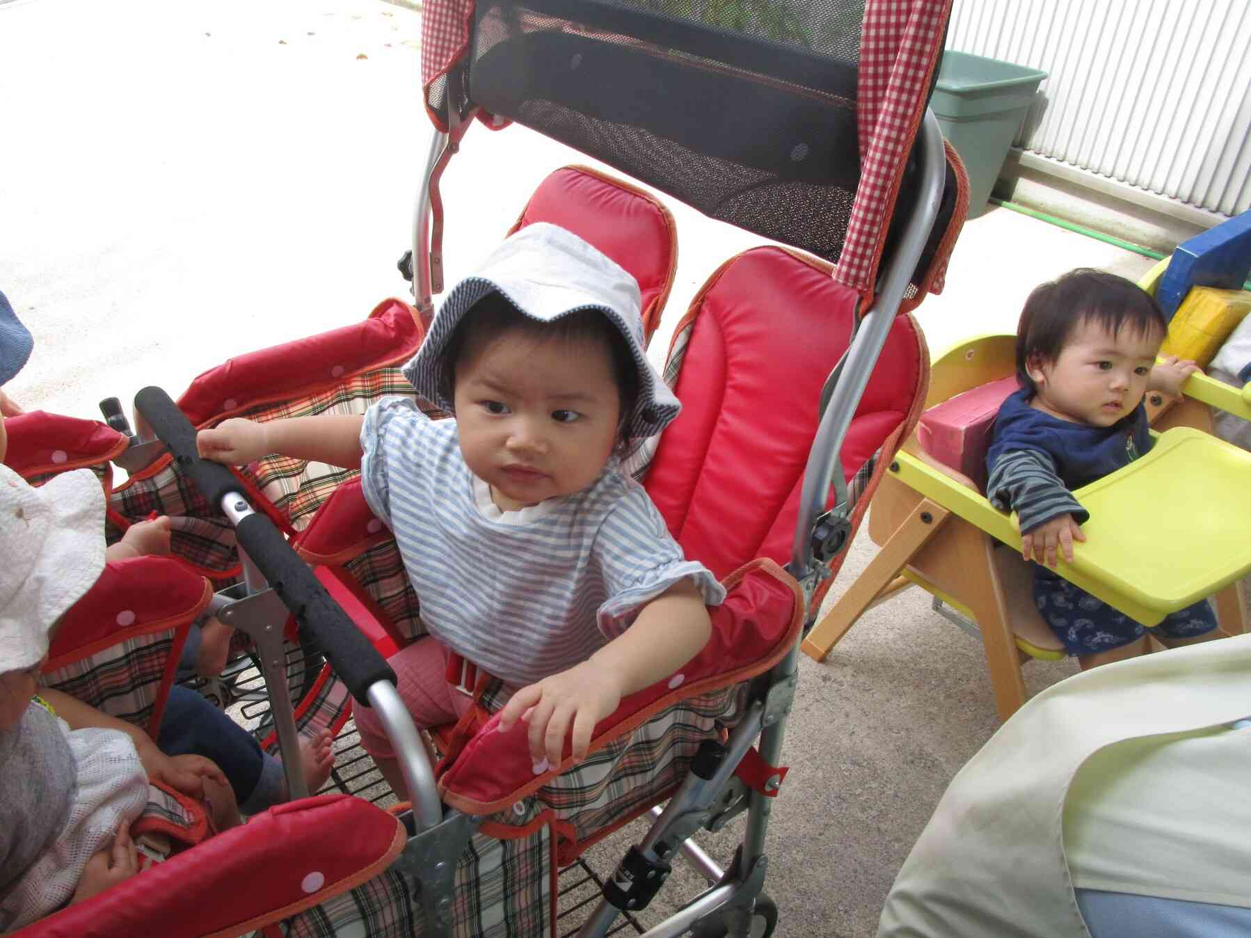 ひよこ組はバギーに乗って見学♪