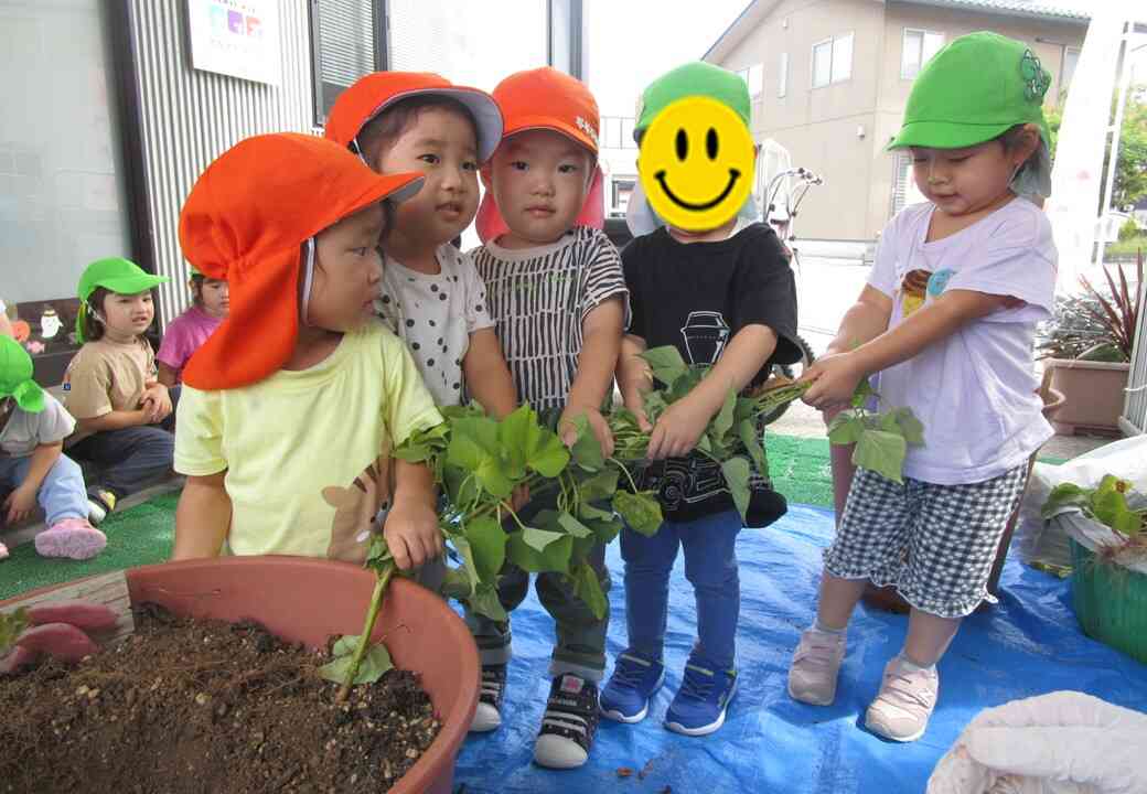 みんなで芋ほり楽しいな♪
