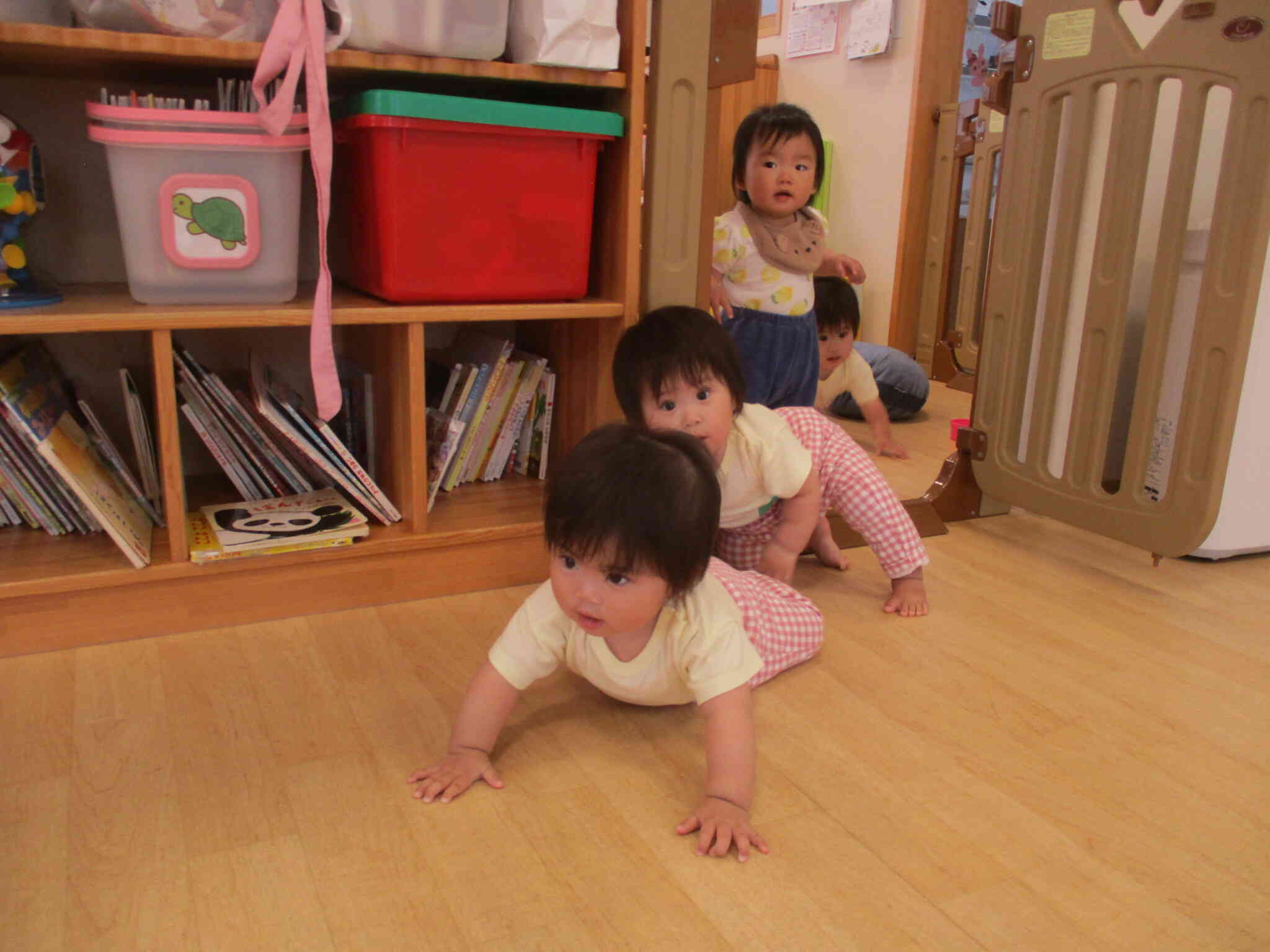 赤ちゃんの大移動