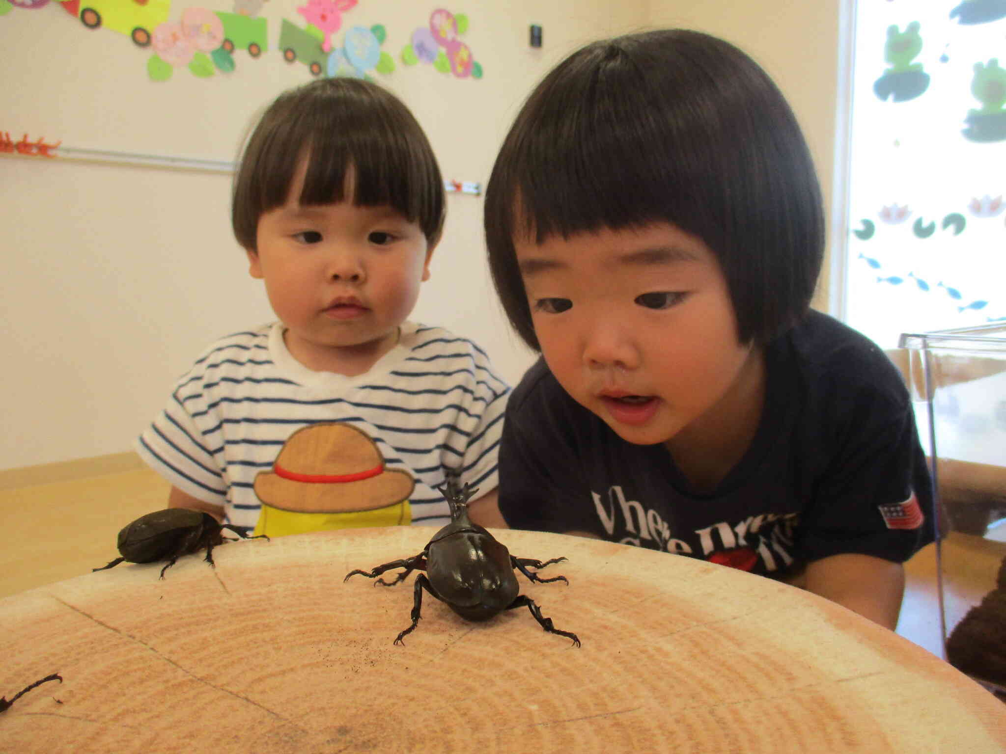 次々と産まれてる