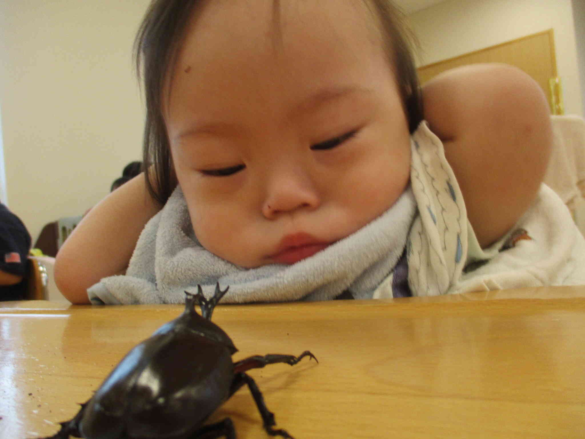 にらめっこ
