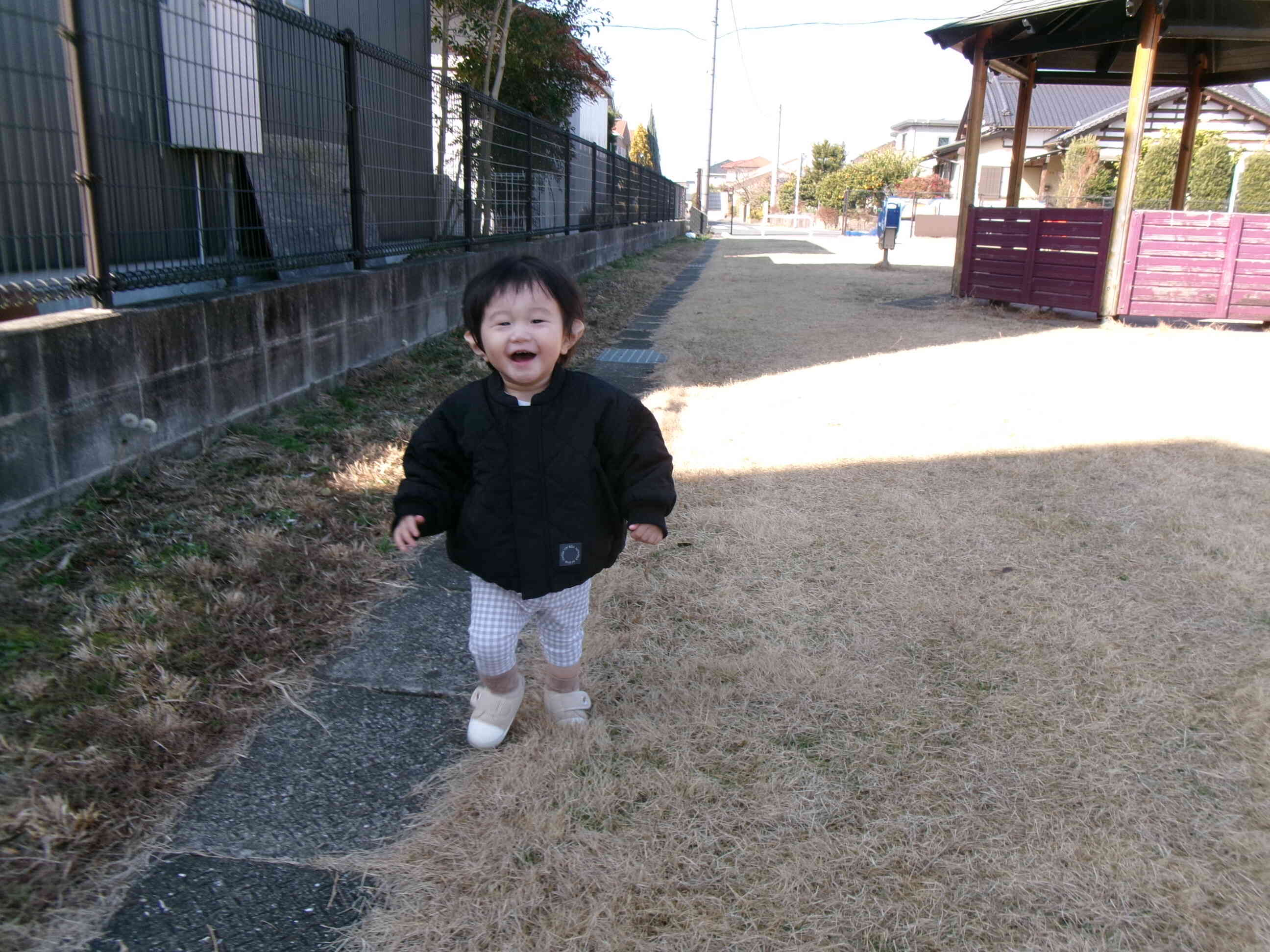 とことことことこ