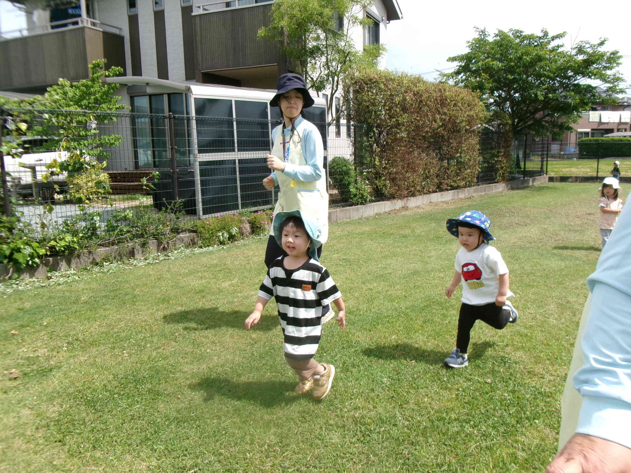 初夏の散歩