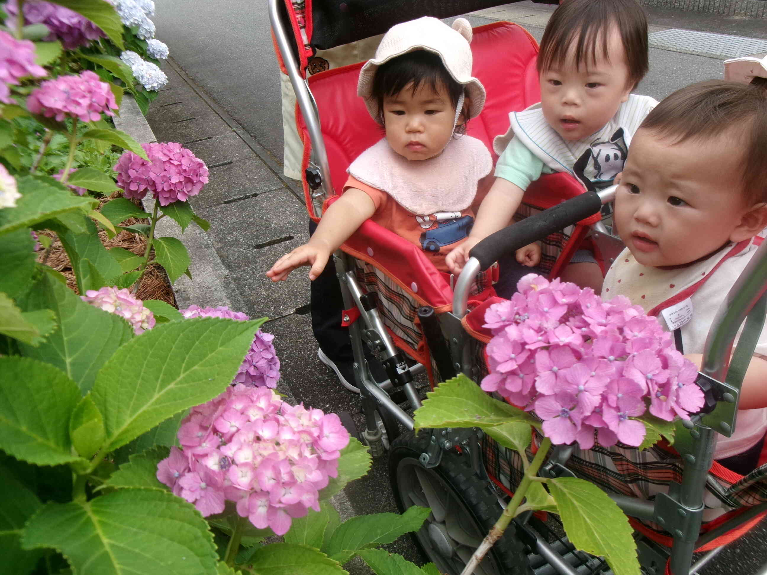 花盛りを君たちへ