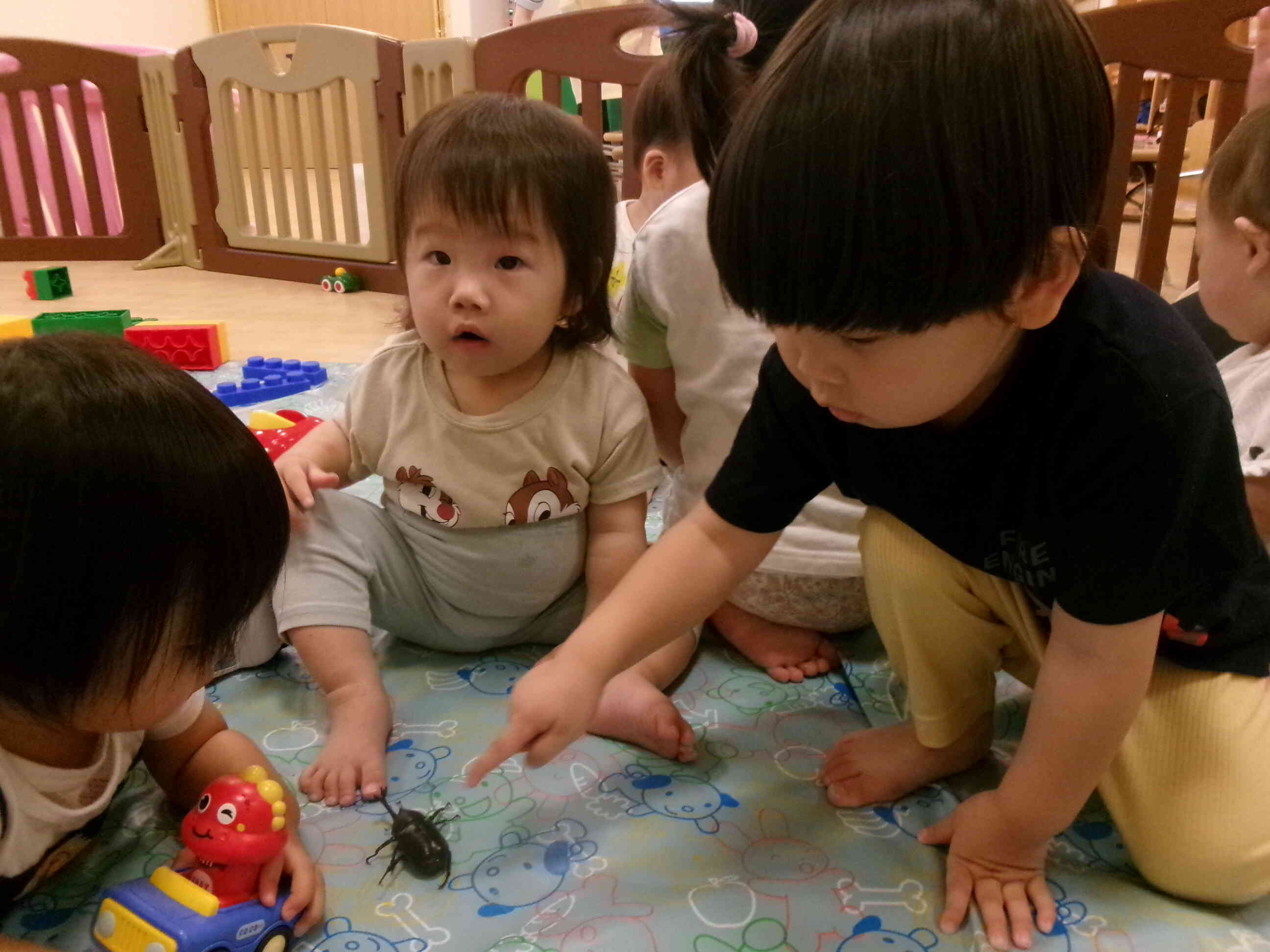 カブトムシと仲良し