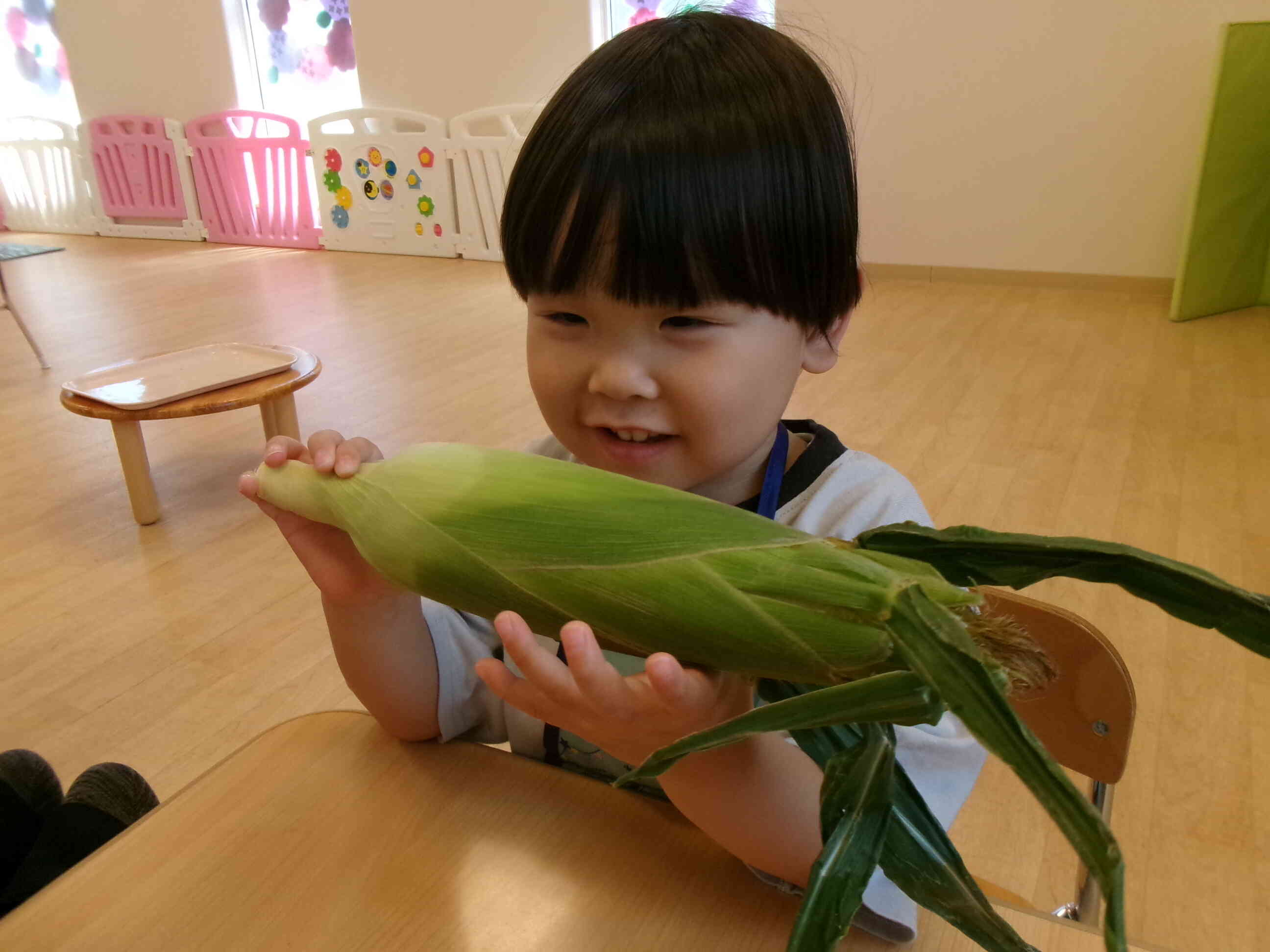 【食育】トウモロコシの皮むき