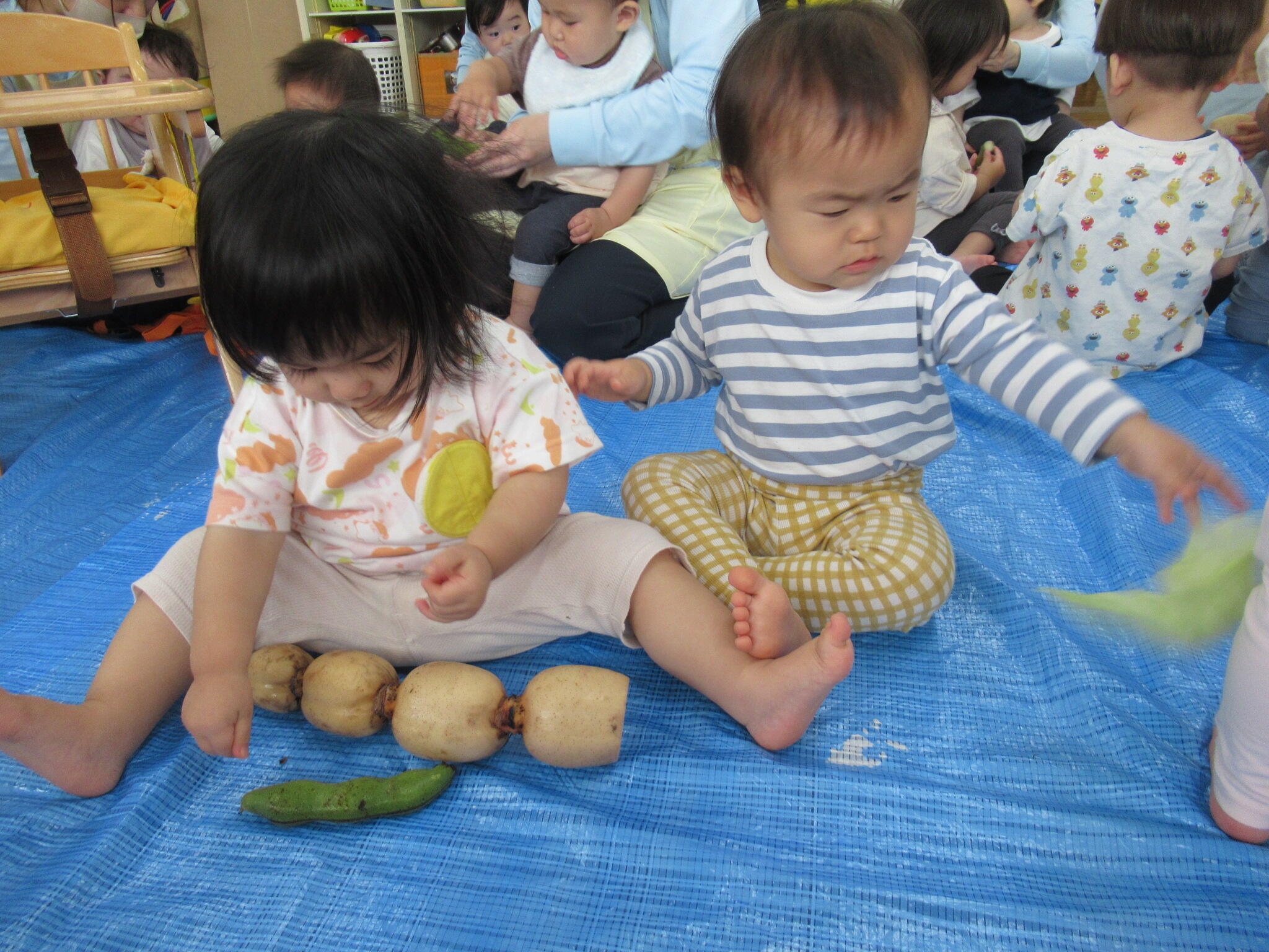 食育～野菜にふれよう～（全クラス）