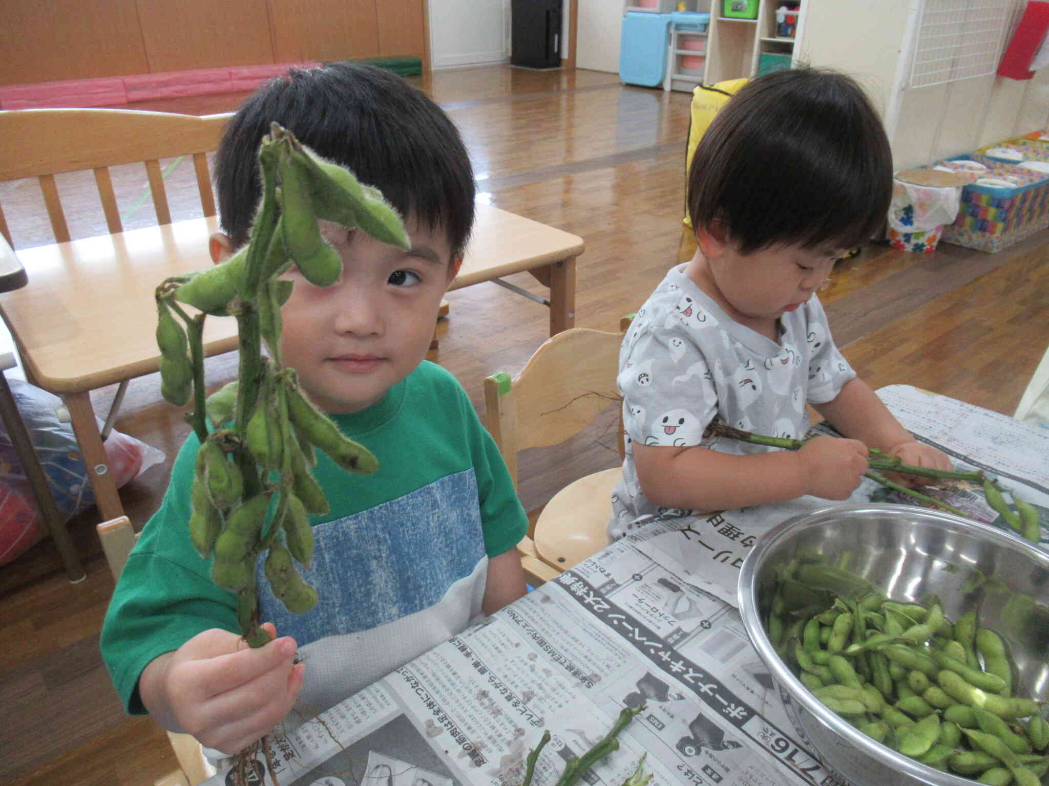 えだまめもぎ