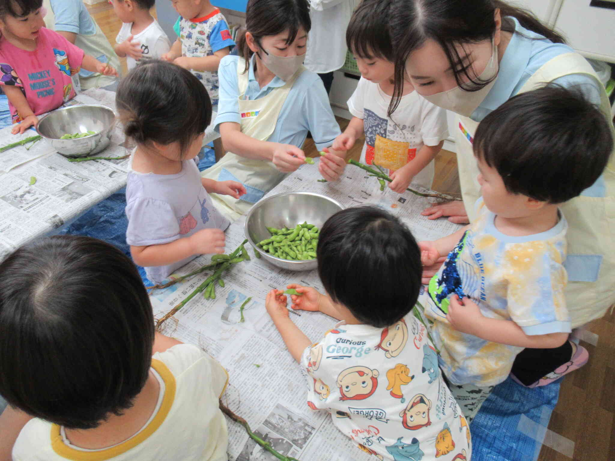 食育～枝豆もぎ～（うさぎ組２歳児）