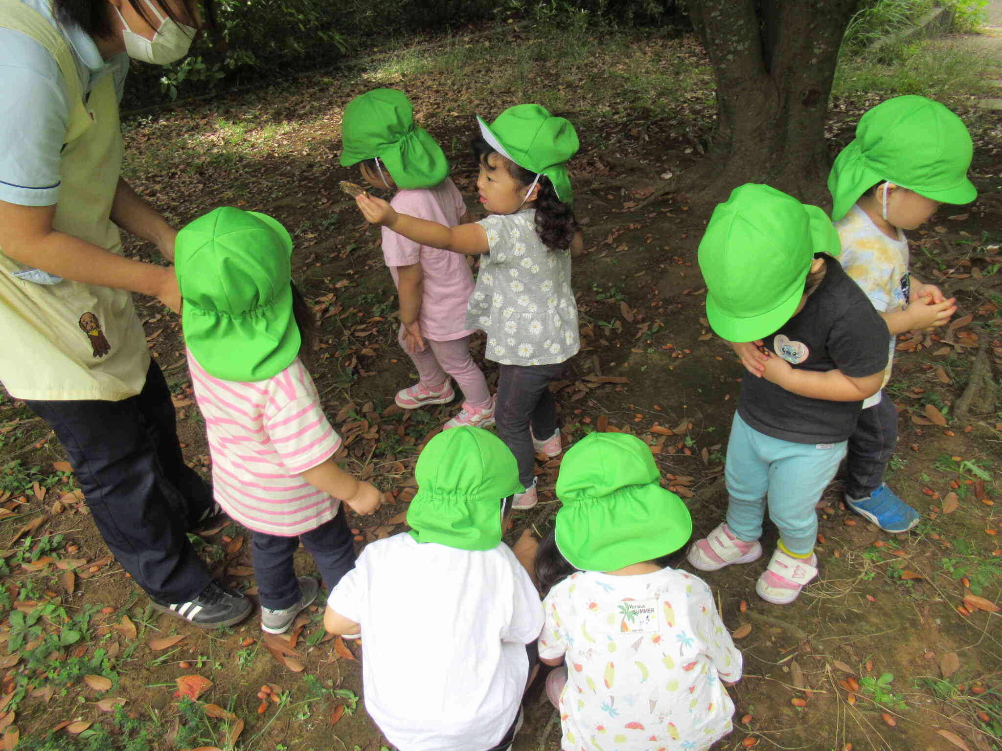 どんぐり拾いの様子（うさぎ組2歳児）