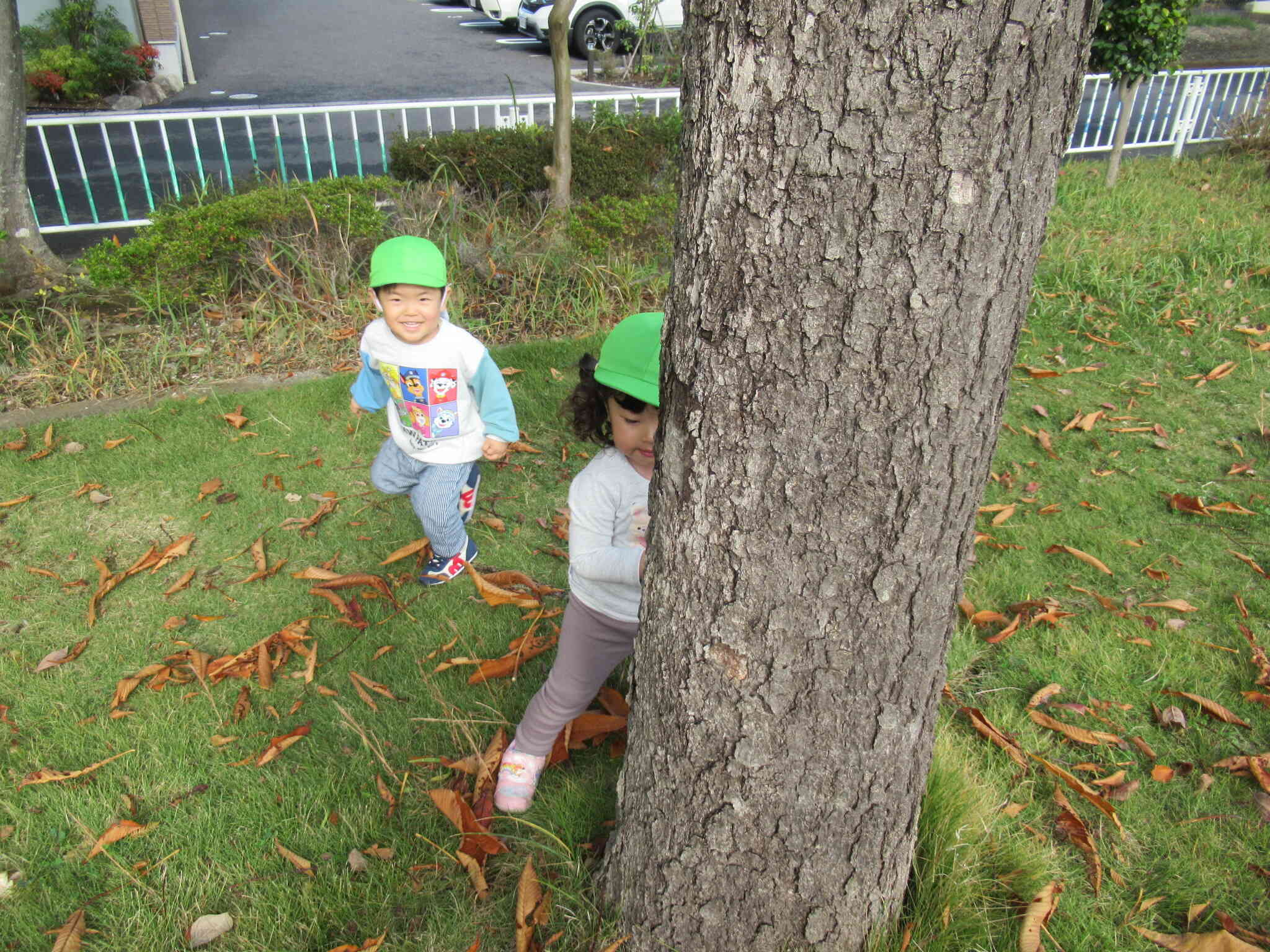 外遊びの様子（うさぎ組2歳児）