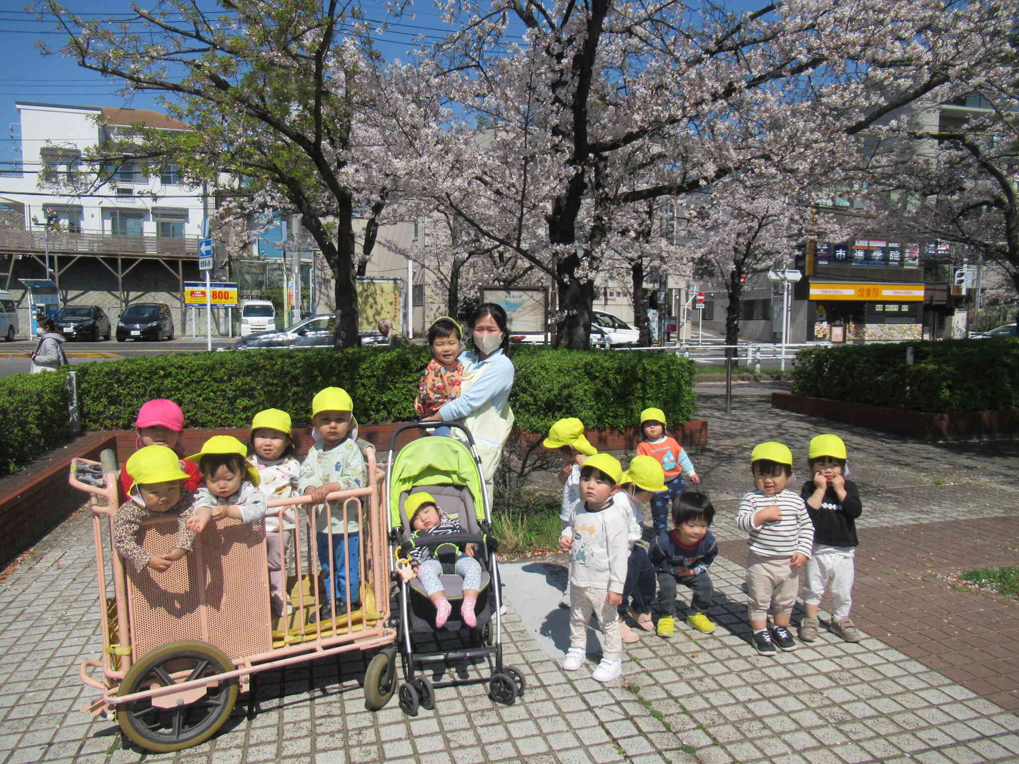 桜と一緒にパシャリ✿（うさぎ組2歳児）