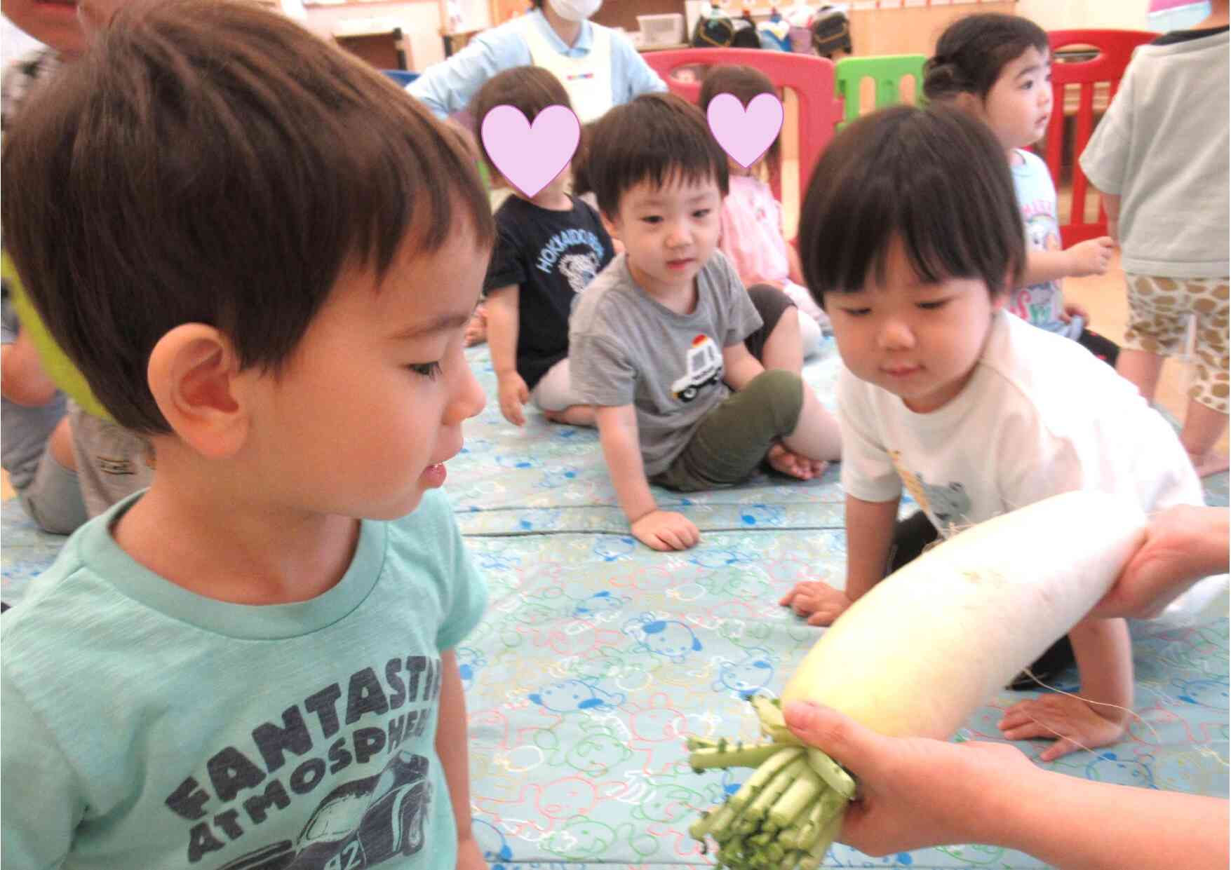 紹介した野菜をみんなで触ってみました。