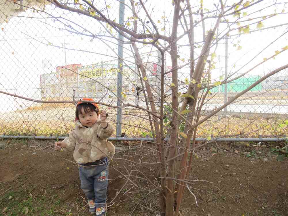 はっぱを発見し、笑顔を浮かべていました！