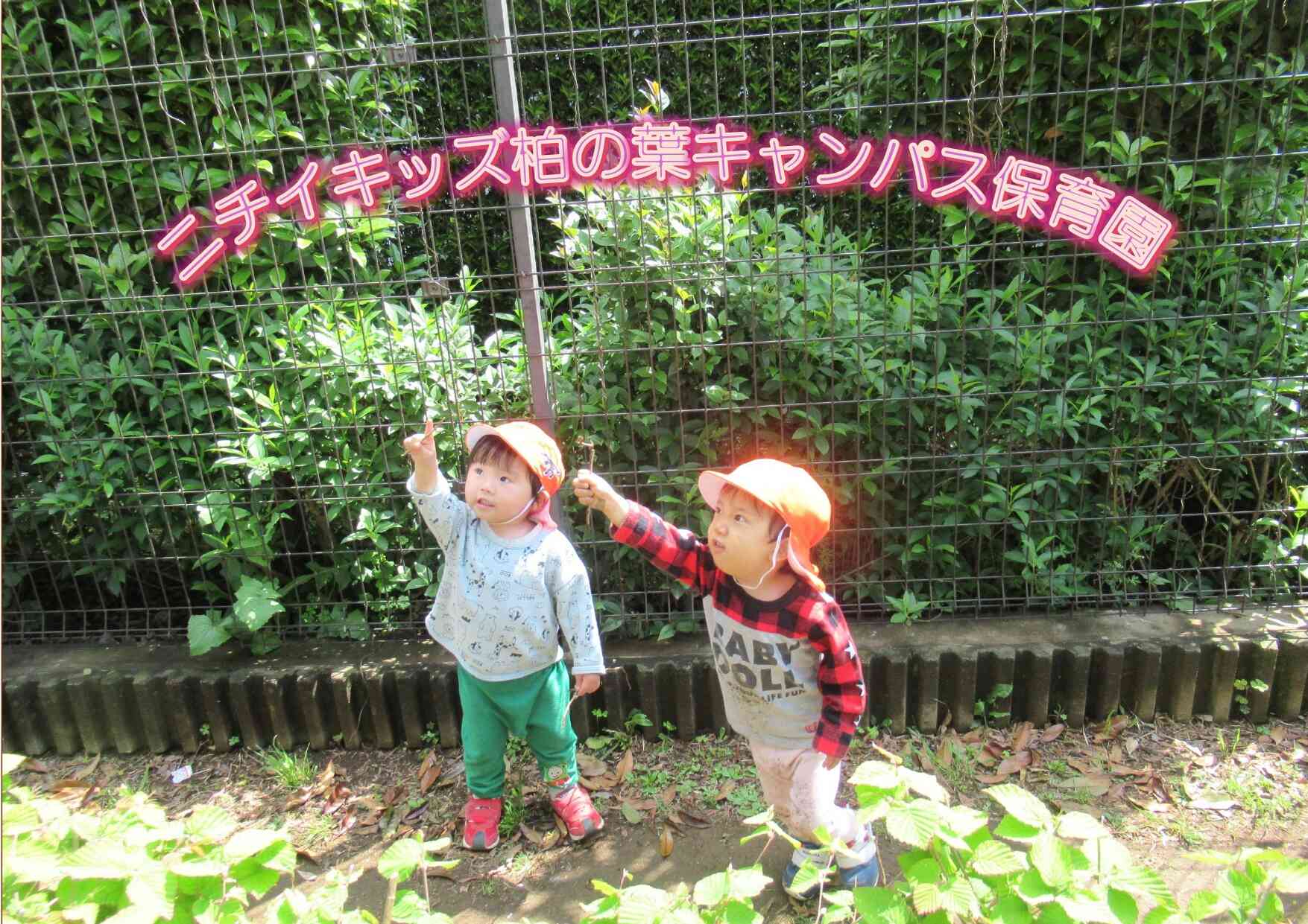 ニチイキッズ柏の葉キャンパス保育園